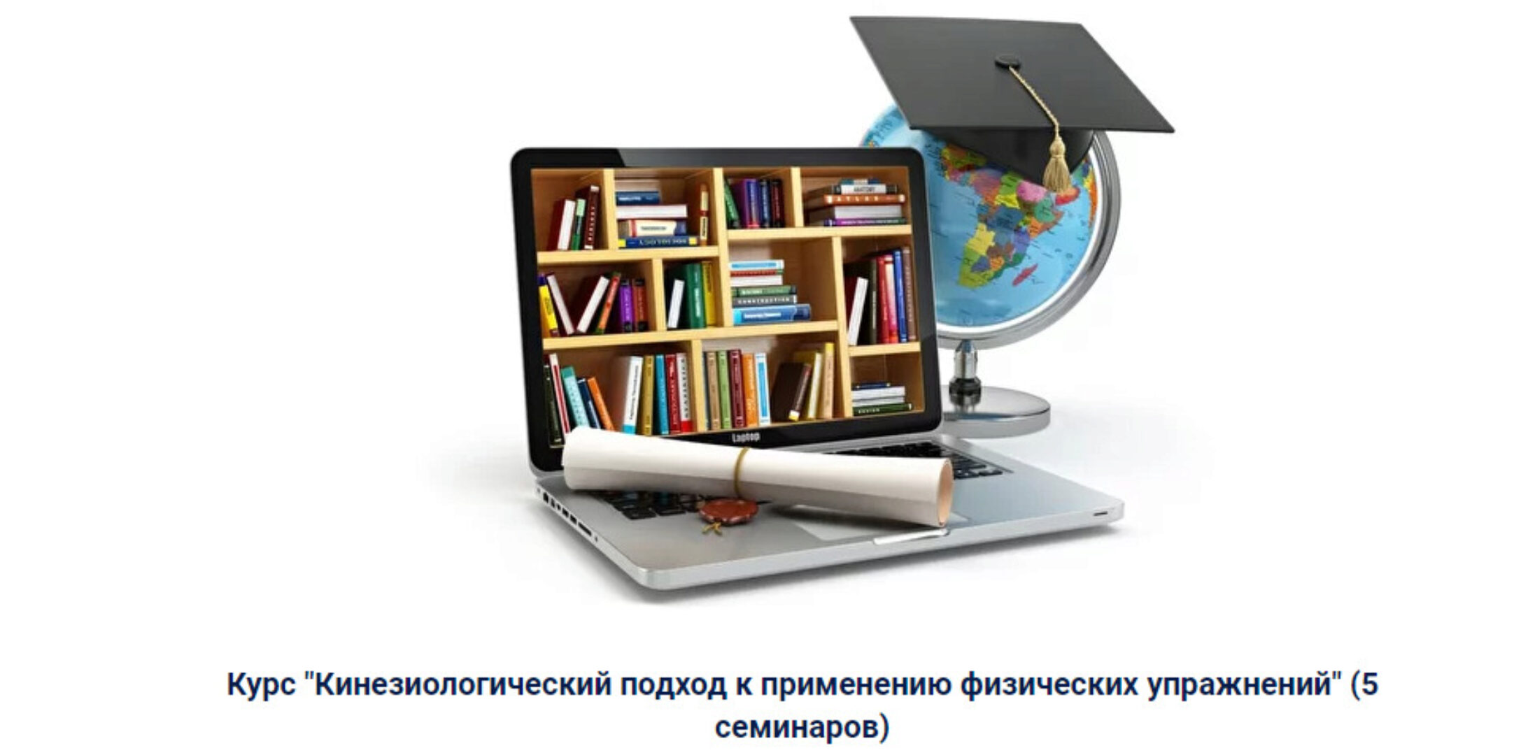 Кинезиологический подход к применению физических упражнений (Елена Симутина)
