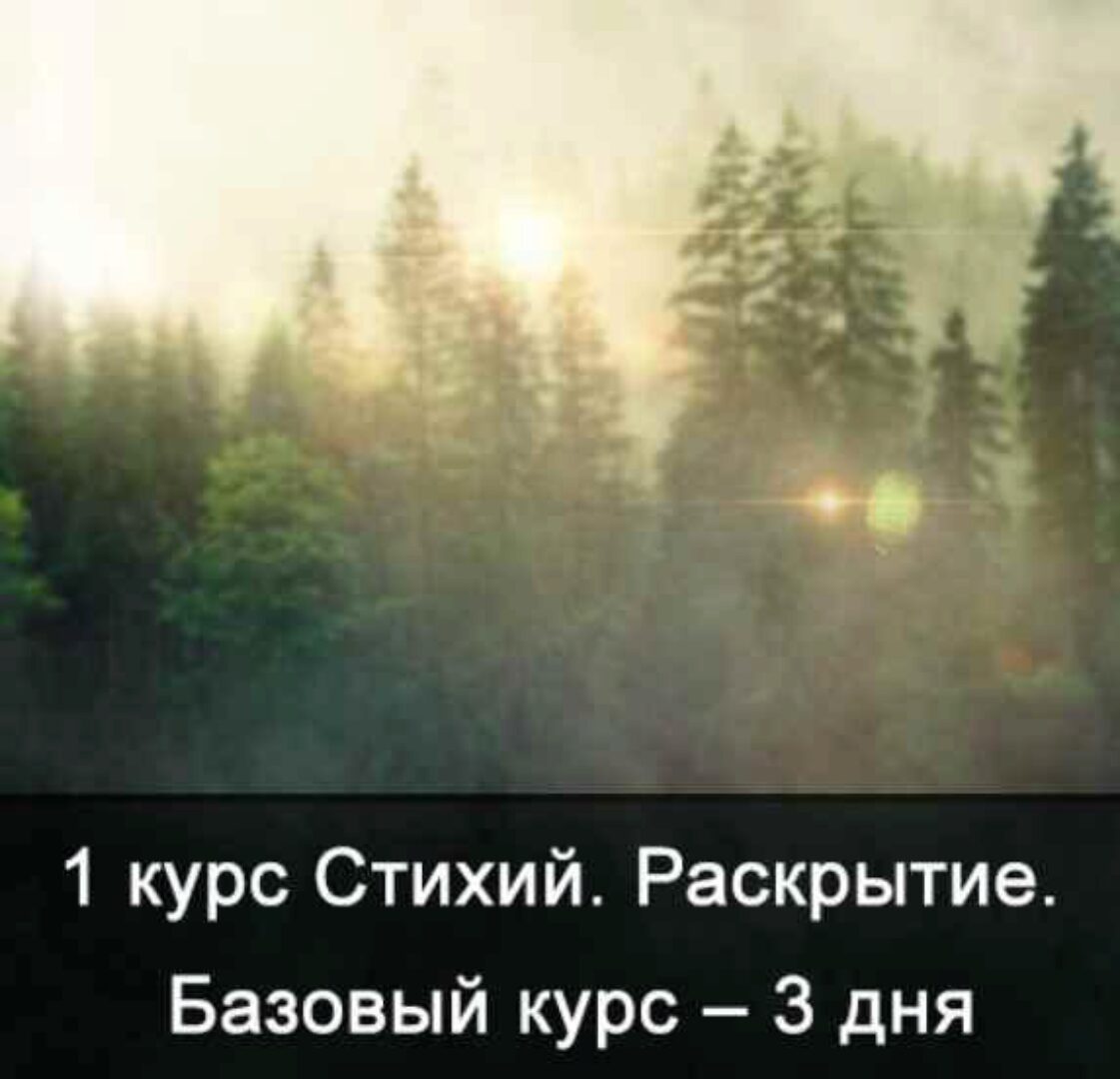 [Школа Меньшиковой] 1 курс Стихий. Сила Стихий. Базовый курс – 3 дня (без камней) (Ксения Меньшикова)