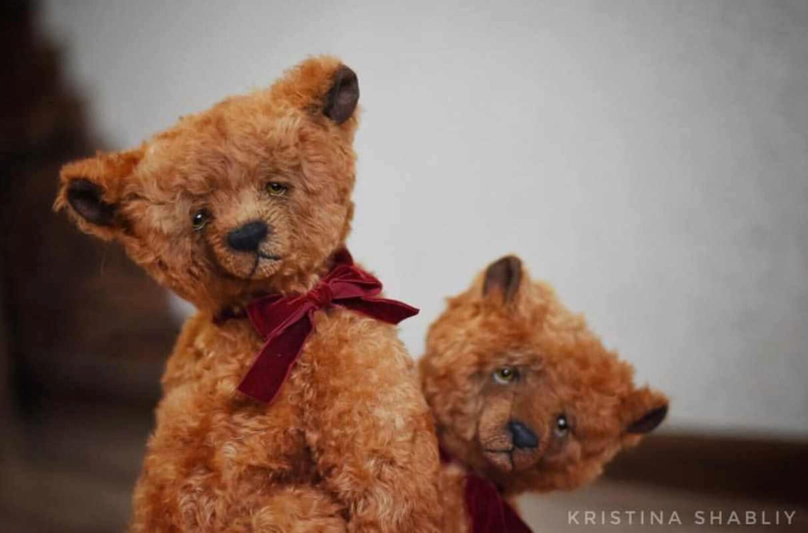 Медведь Ромео (Кристина Шаблий)