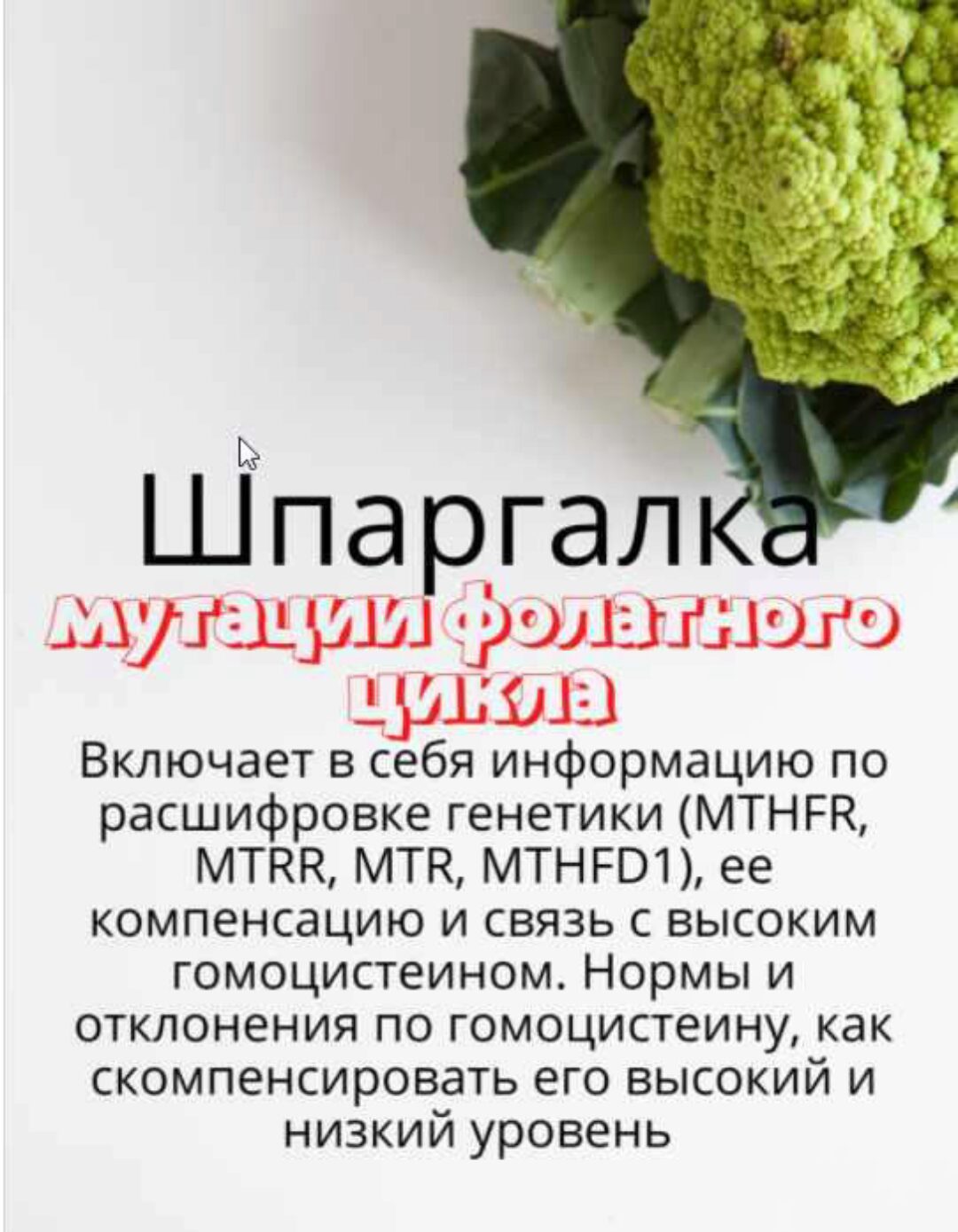 [kpuctakl] Шпаргалка «Мутации фолатного цикла» (Кристина Трофимова)