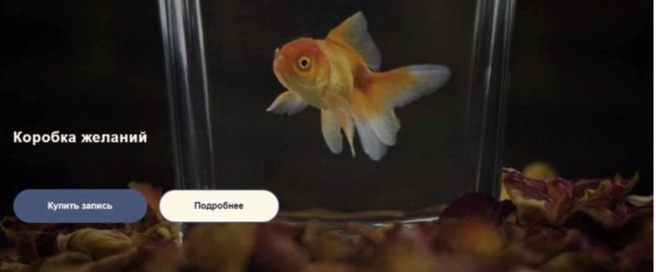 [Ashotovna] Коробка желаний (Ануш Манасян)