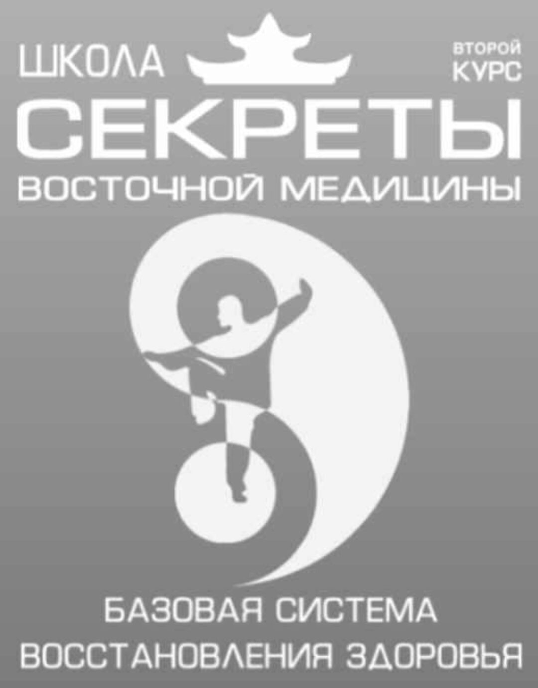 Школа Секреты восточной медицины. Тариф Вип. 2 курс (Владимир Осипов)