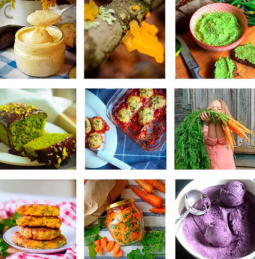 Кулинарная книга Вредной Тётки. Овощи. Ферментация. Дикоросы (Катерина Лебедева)