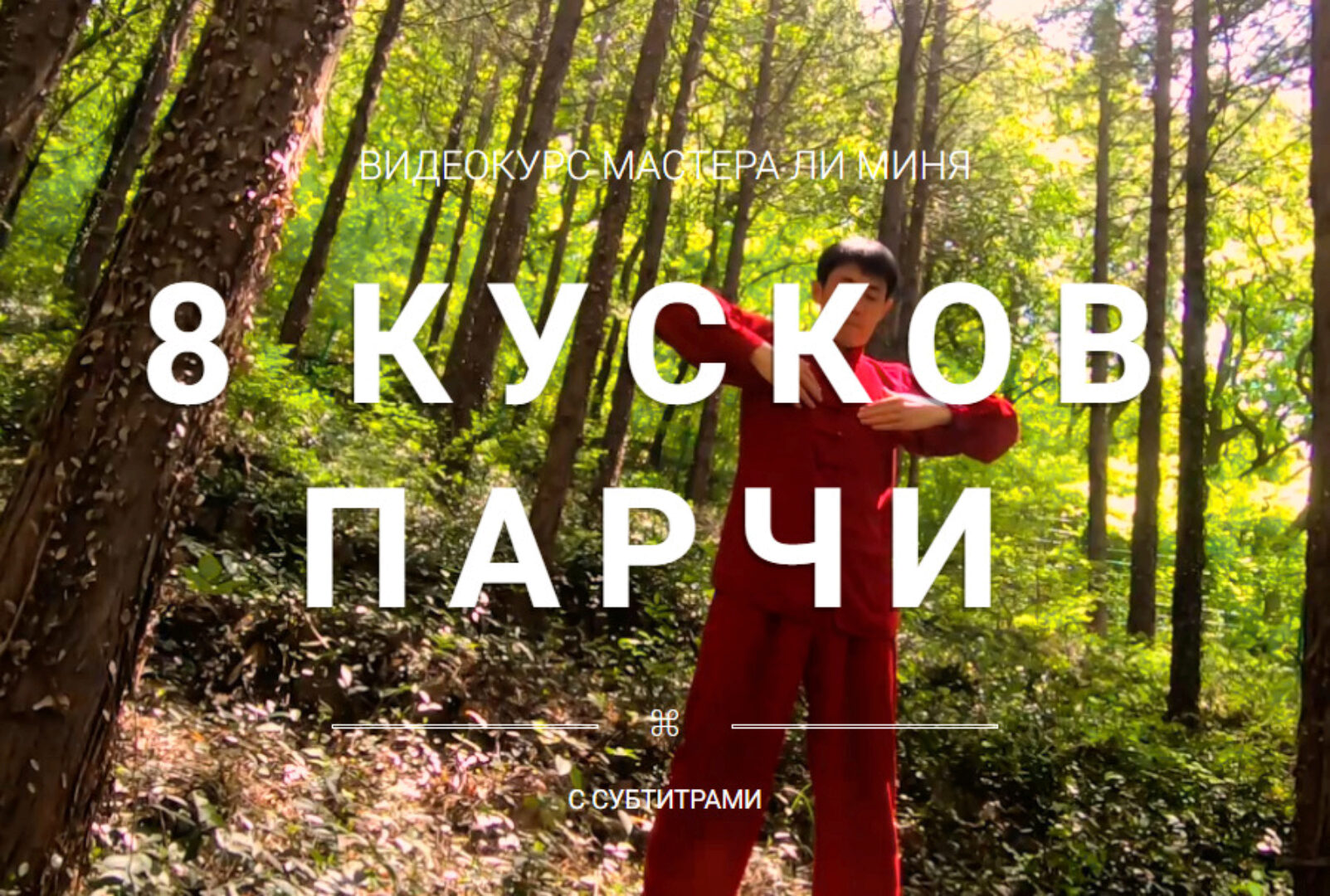 [Школа Хэ Дао] 8 Кусков Парчи (Мастер Ли Минь)