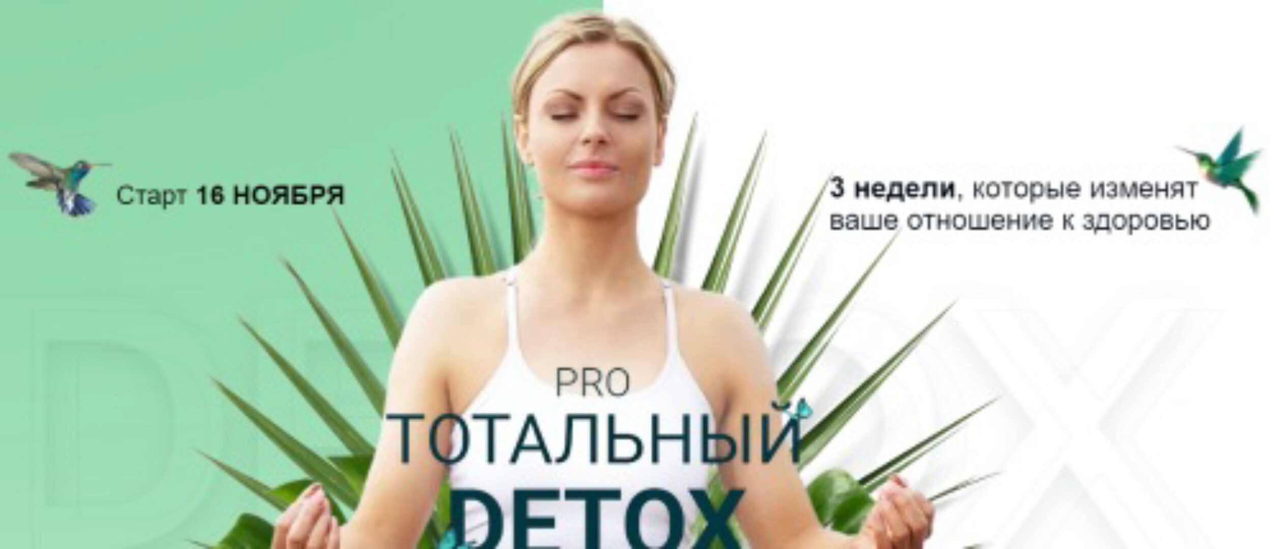 Pro тотальный detox. Ноябрь 2020 (Диляра Лебедева)