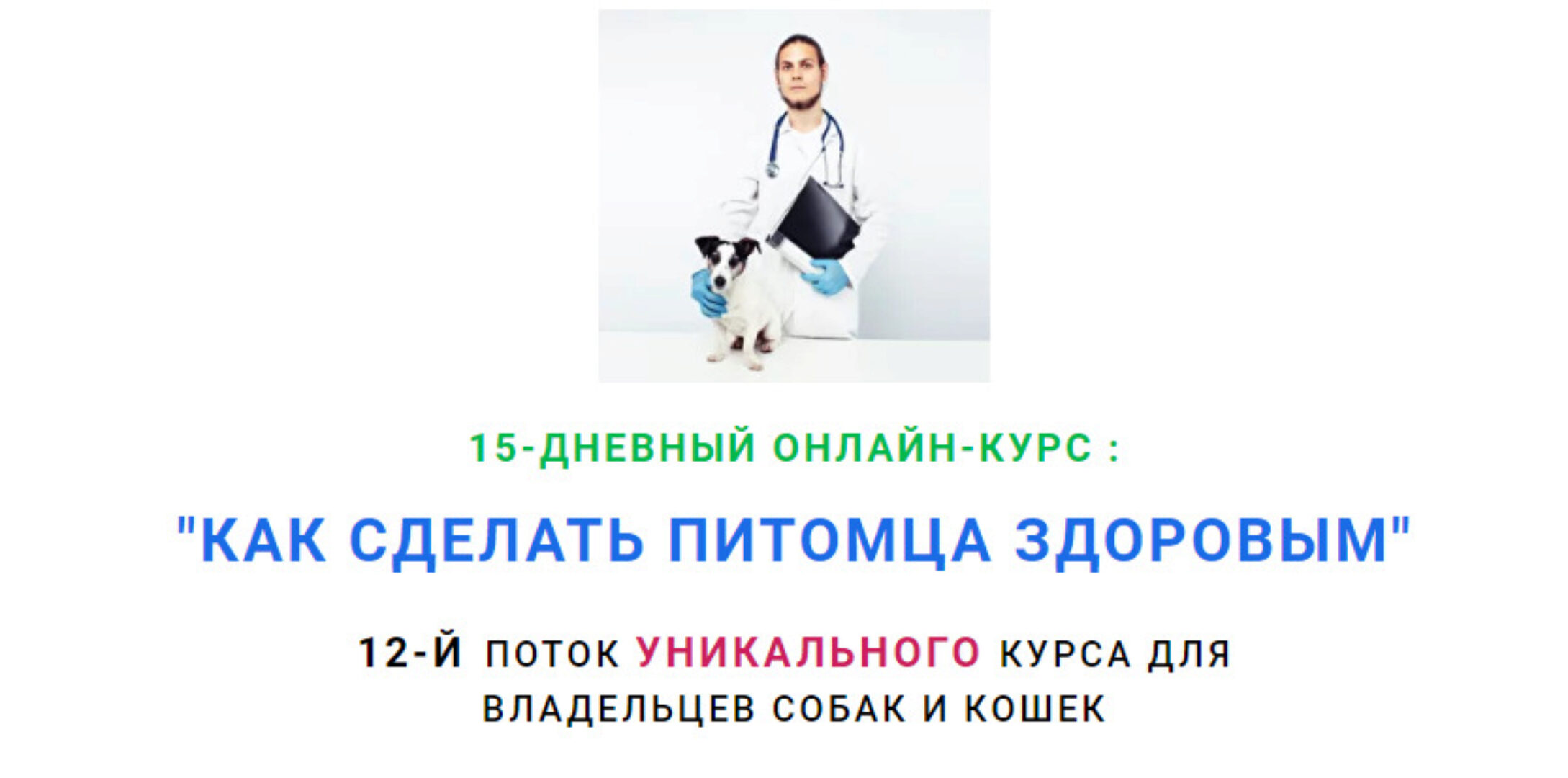 Как сделать питомца здоровым. 12 поток (Дмитрий Русаков)