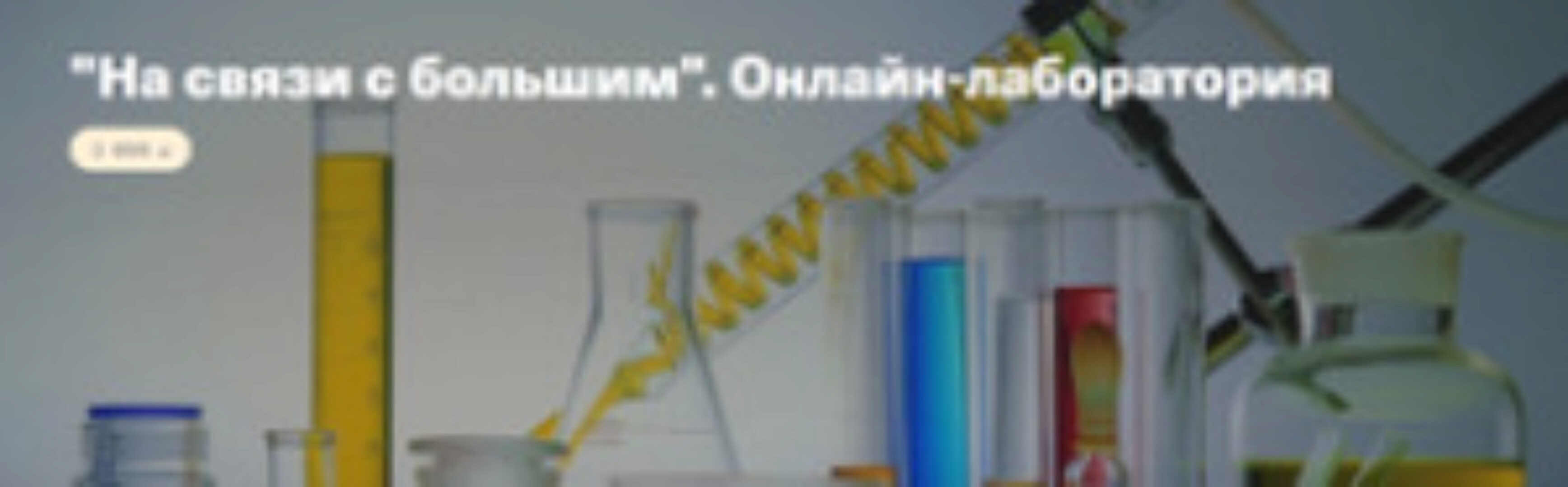 На связи с большим (Елена Веселаго)