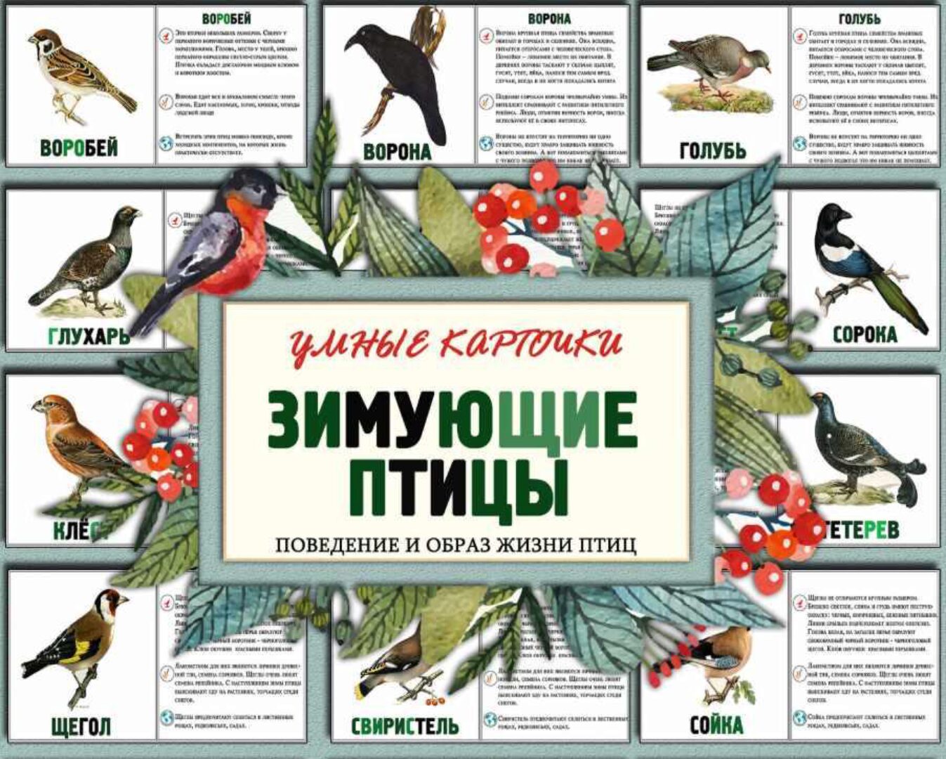 Зимующие птицы. Часть 1 (Елена Солдатова)