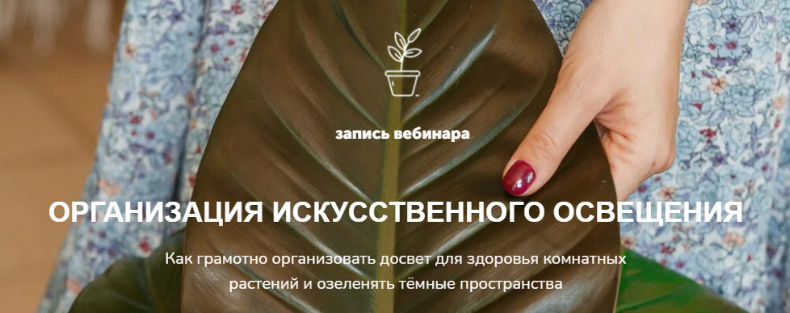 Организация искусственного освещения (Наталья Серова)