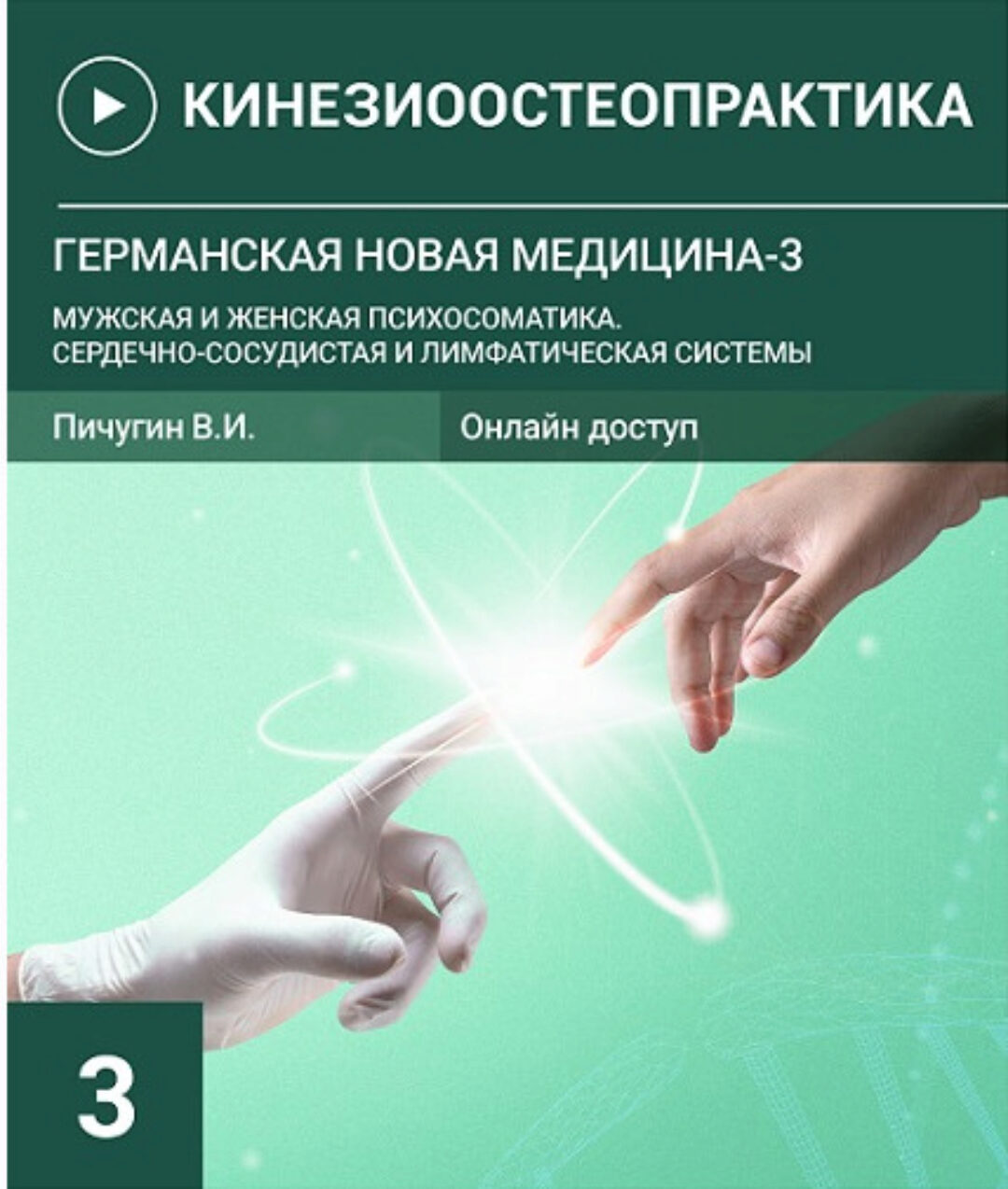Германская новая медицина. Мужская и женская психосоматика. Сердечно-сосудистая и лимфатическая системы (Вячеслав Пичугин)