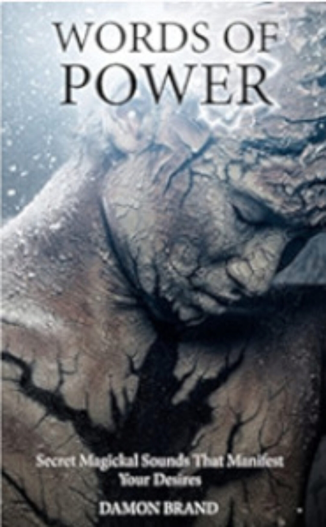 Слова Cилы: секретные магические звуки, исполняющие ваши желания (Дэймон Брэнд)