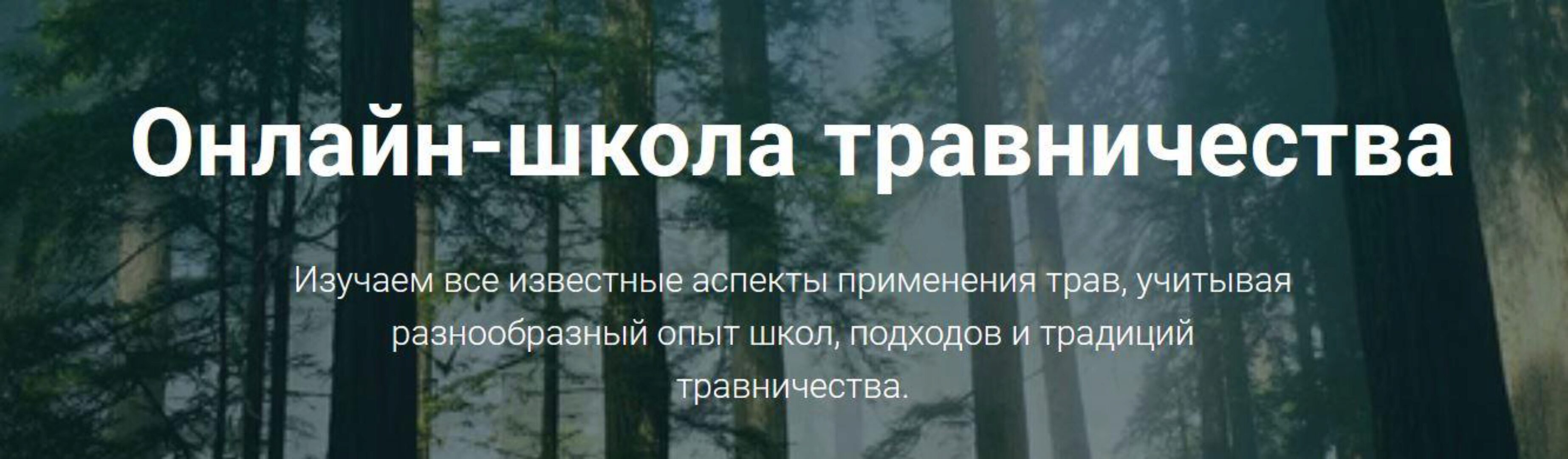 [FestTrav] Школа травничества. Тариф Листочки (Юлия Осоргина)