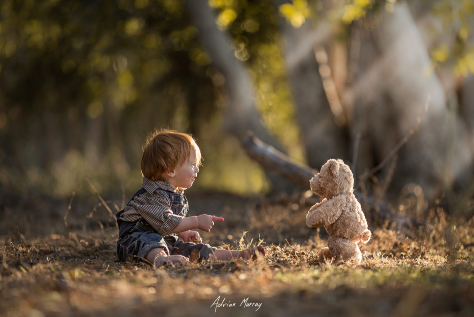 Шоколадная обработка фото. Пресеты, кисти для LR (Адриан Мюррей)