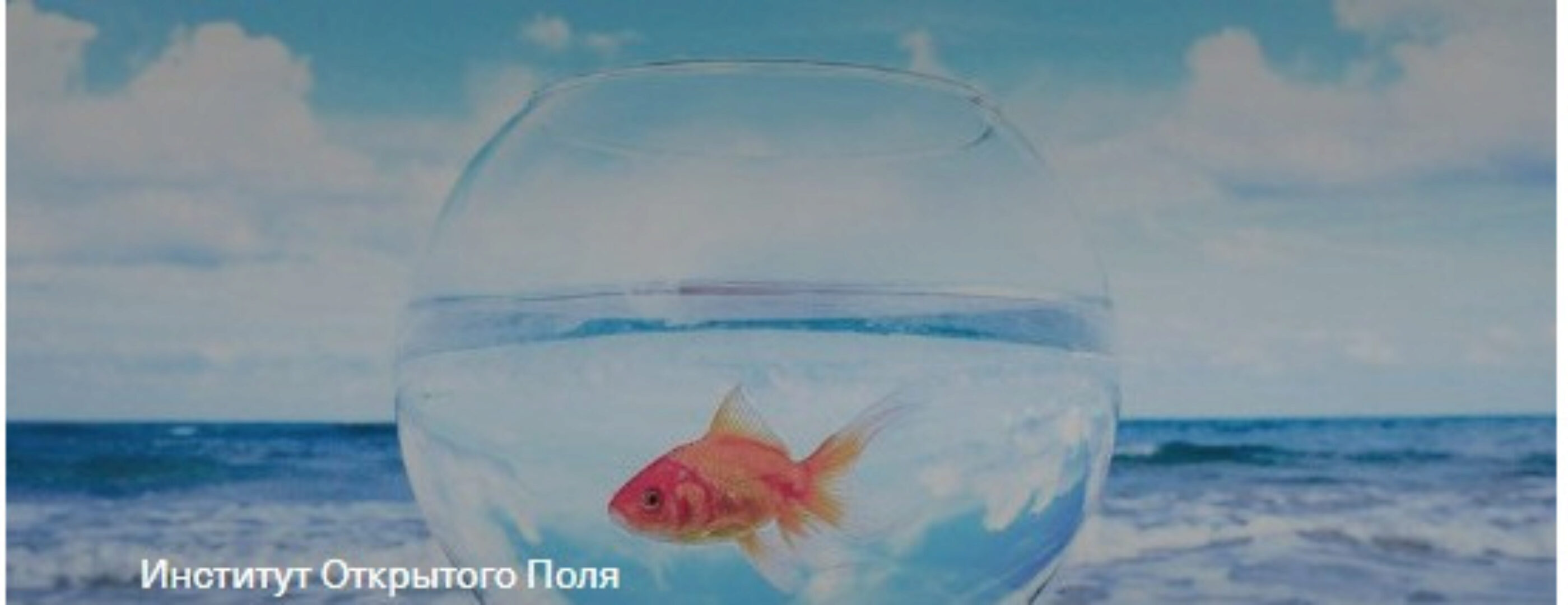 Моя мечта. Группа практики (Елена Веселаго)