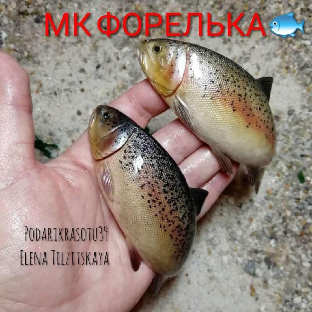 МК Форелька (Елена Тильзитская) @podarikrasotu39