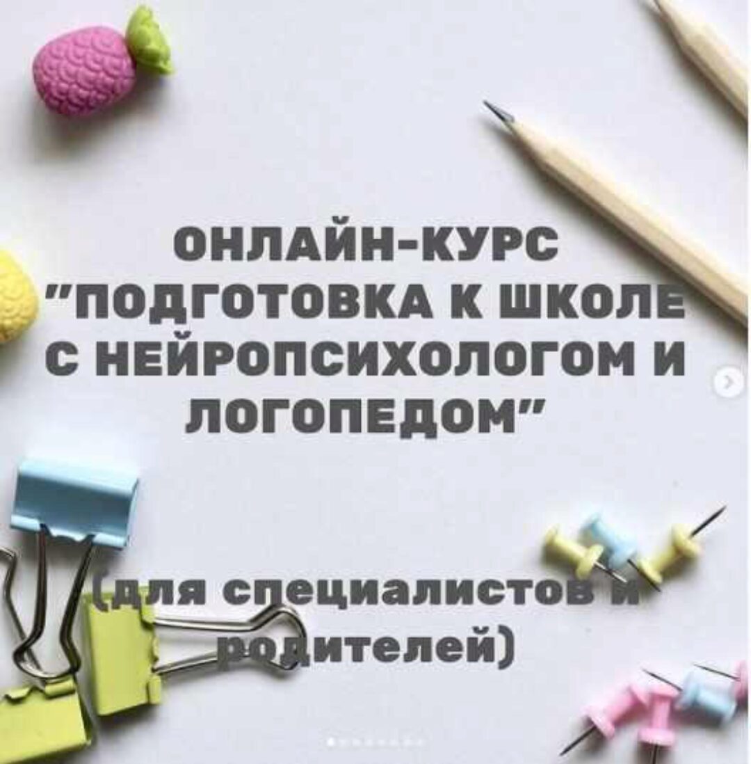 Подготовка к школе с нейропсихологом и логопедом (Екатерина Шурыгина)