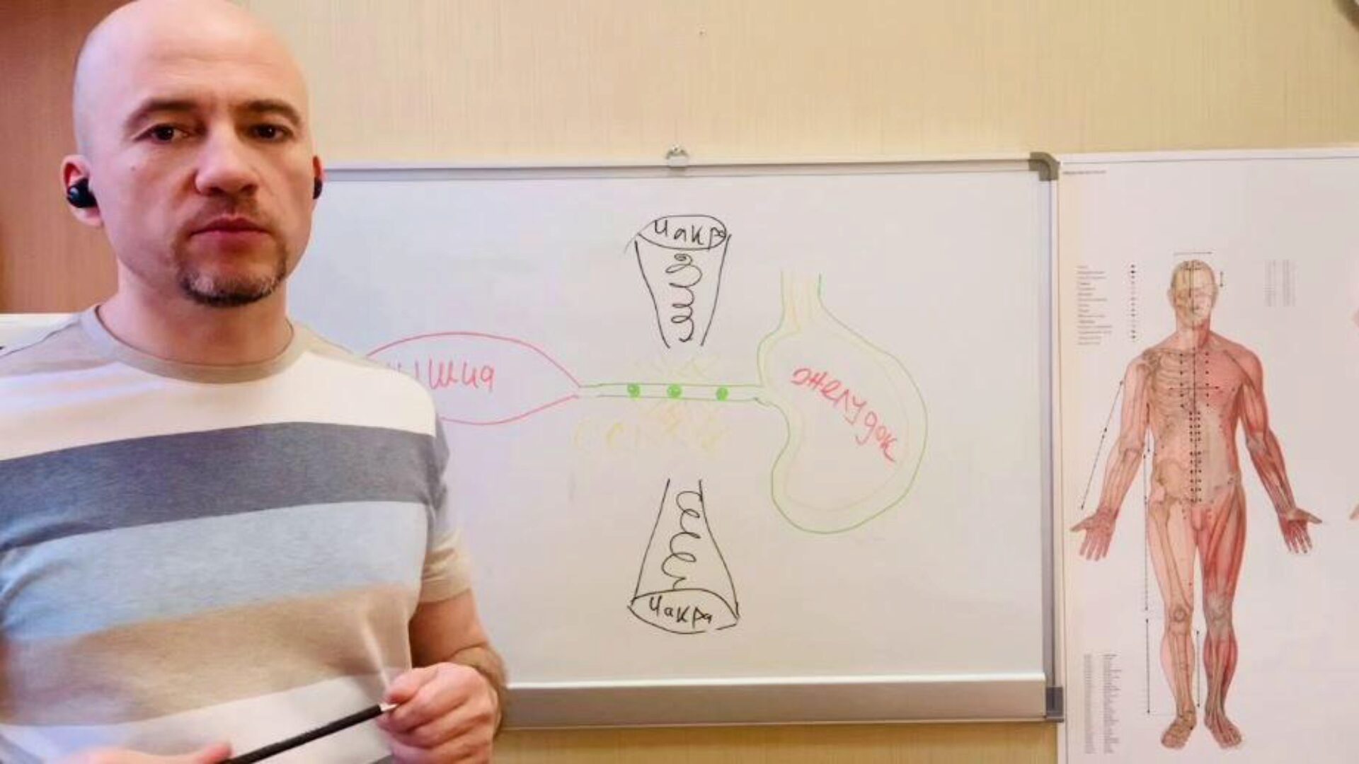 Доступная кинезиология II. Многомерный баланс человека (Максим Мальцев)