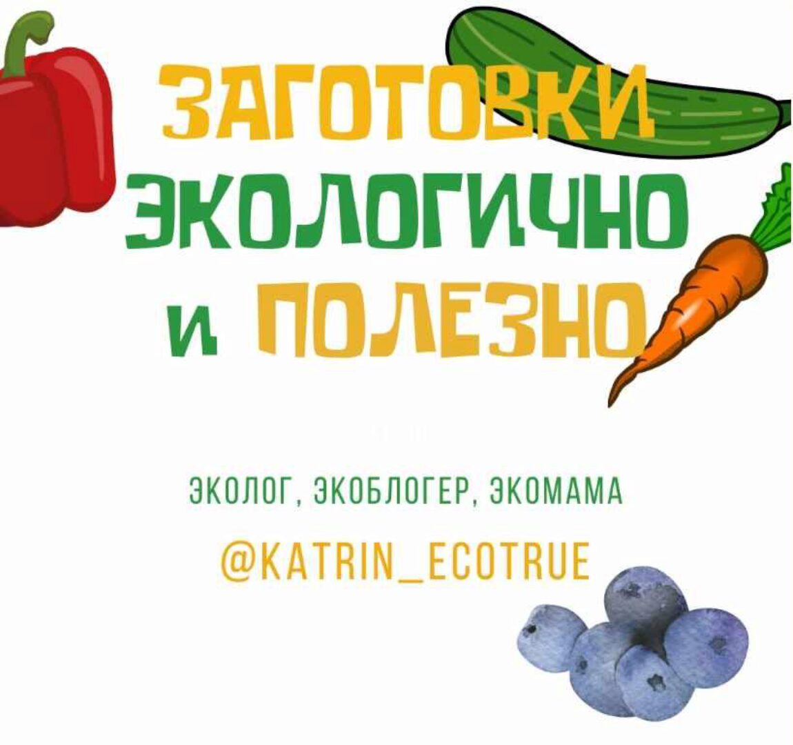 Заготовки экологично и полезно (katrin_ecotrue)
