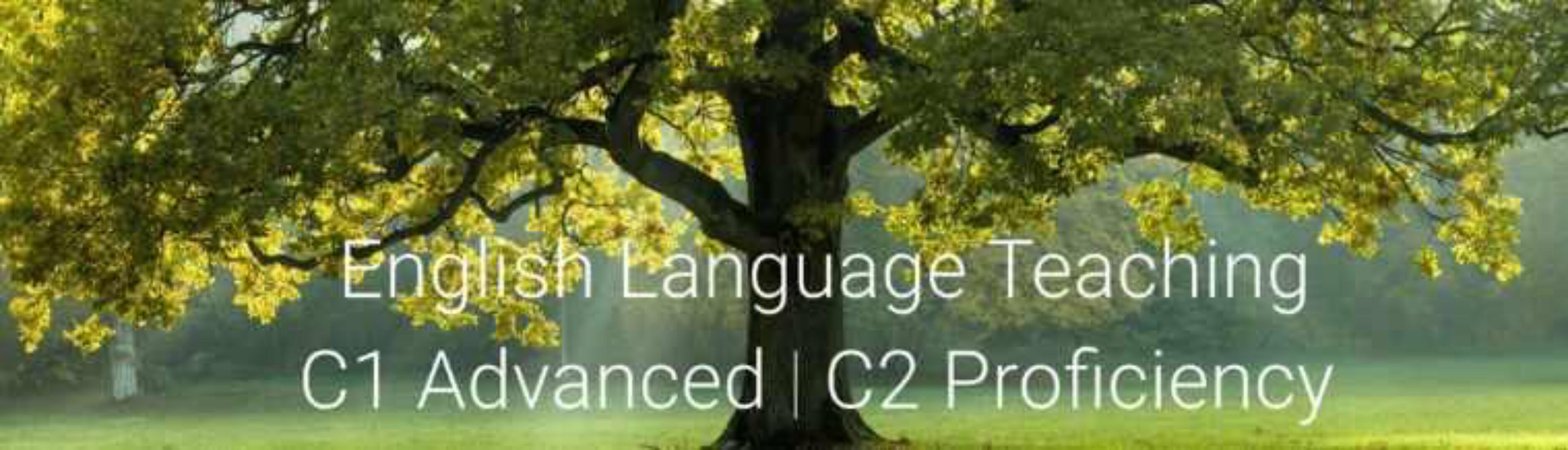 Серия видео CPE Writing, self-study (Ксения Шперл)