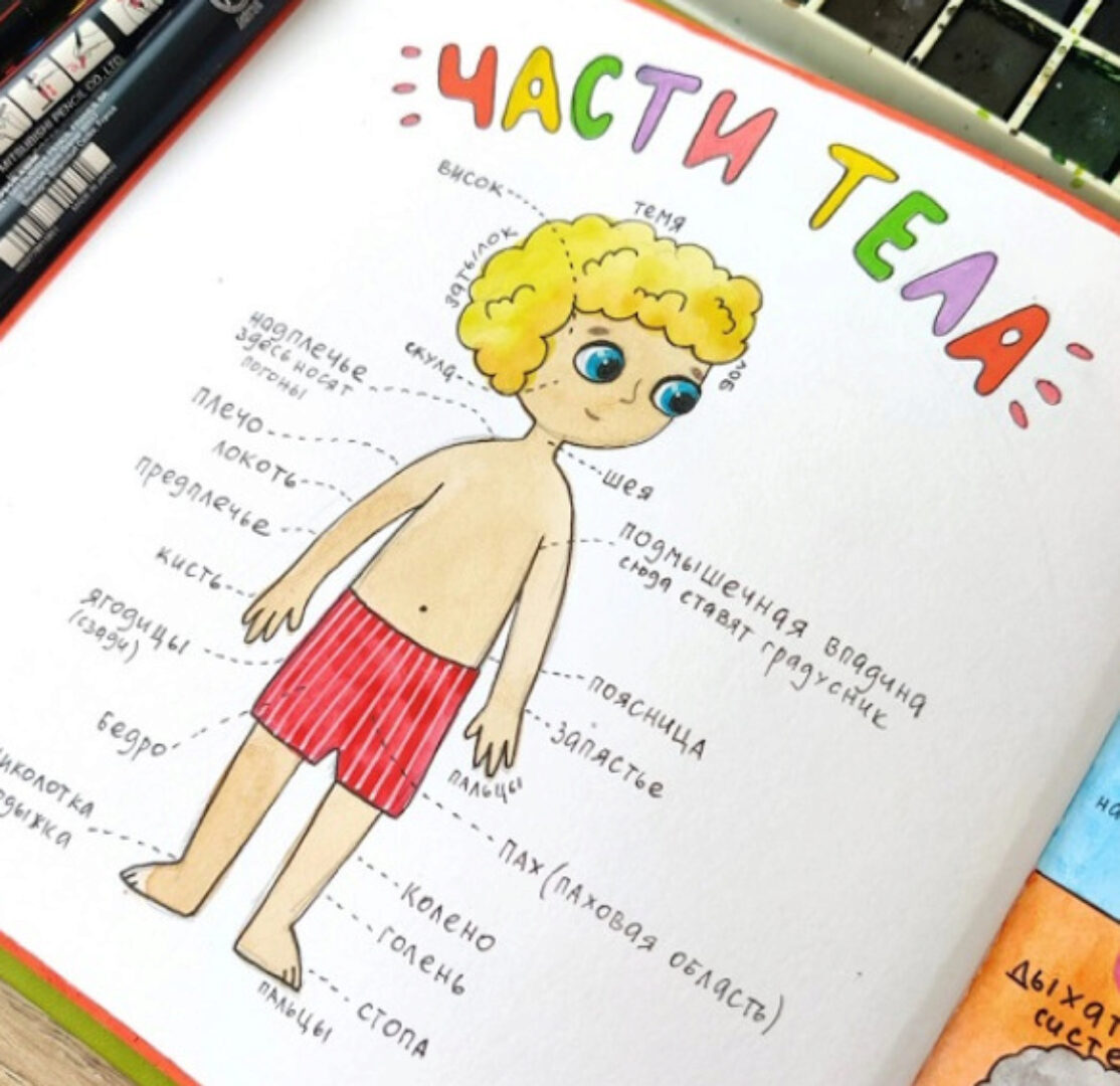 [hurlyburlyschool] Окружающий мир. 15 блок