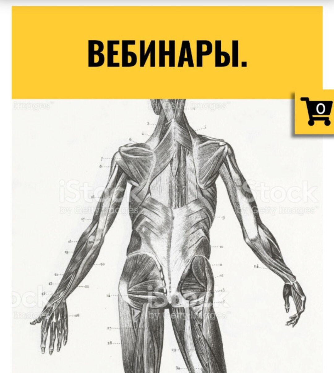 [CrowStore] Тазовое дно. Вебинары. Серия 1 (Анна Воронина)