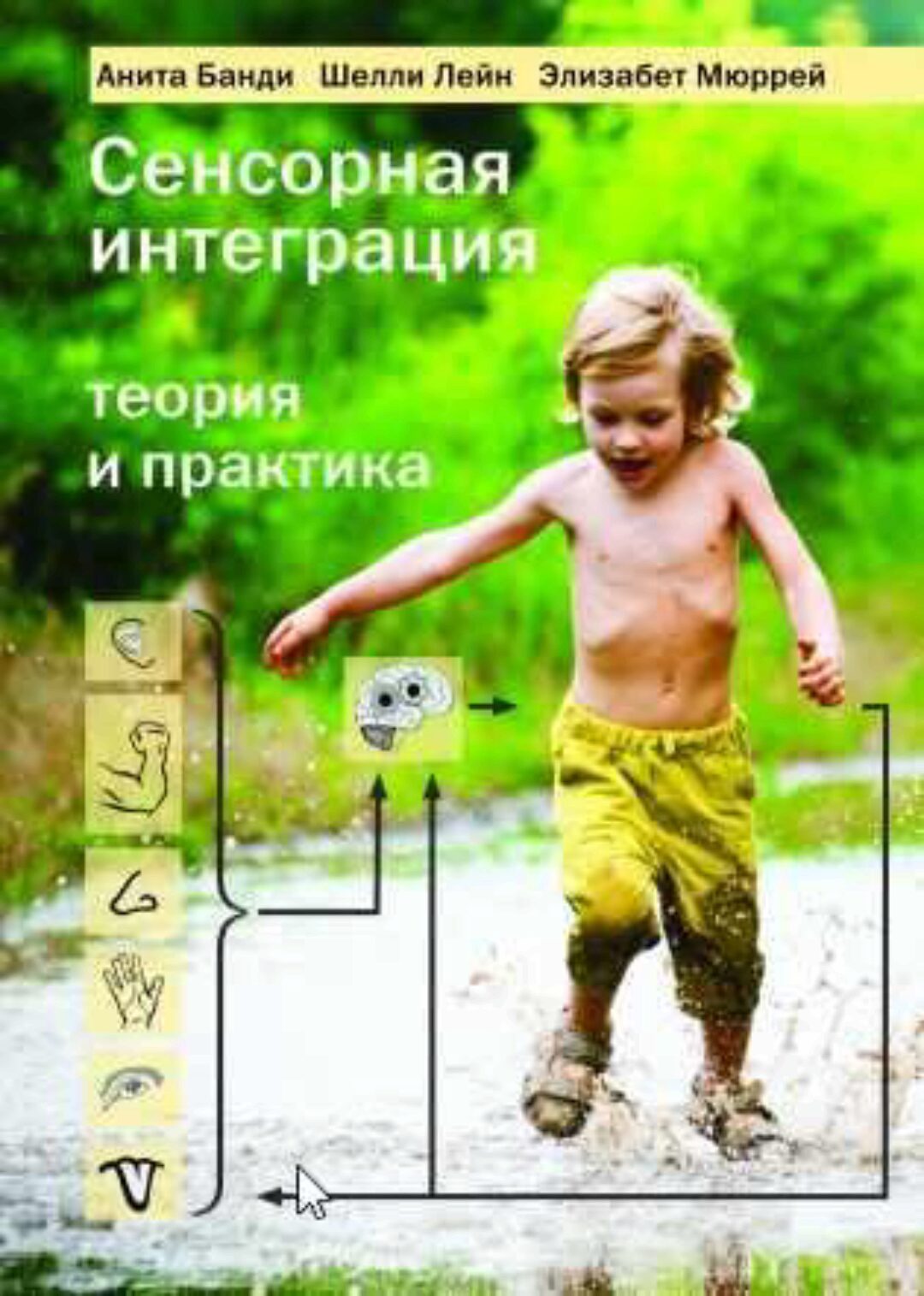 Сенсорная интеграция. Теория и практика (Анита Банди, Шелли Лейн, Элизабет Мюррей)