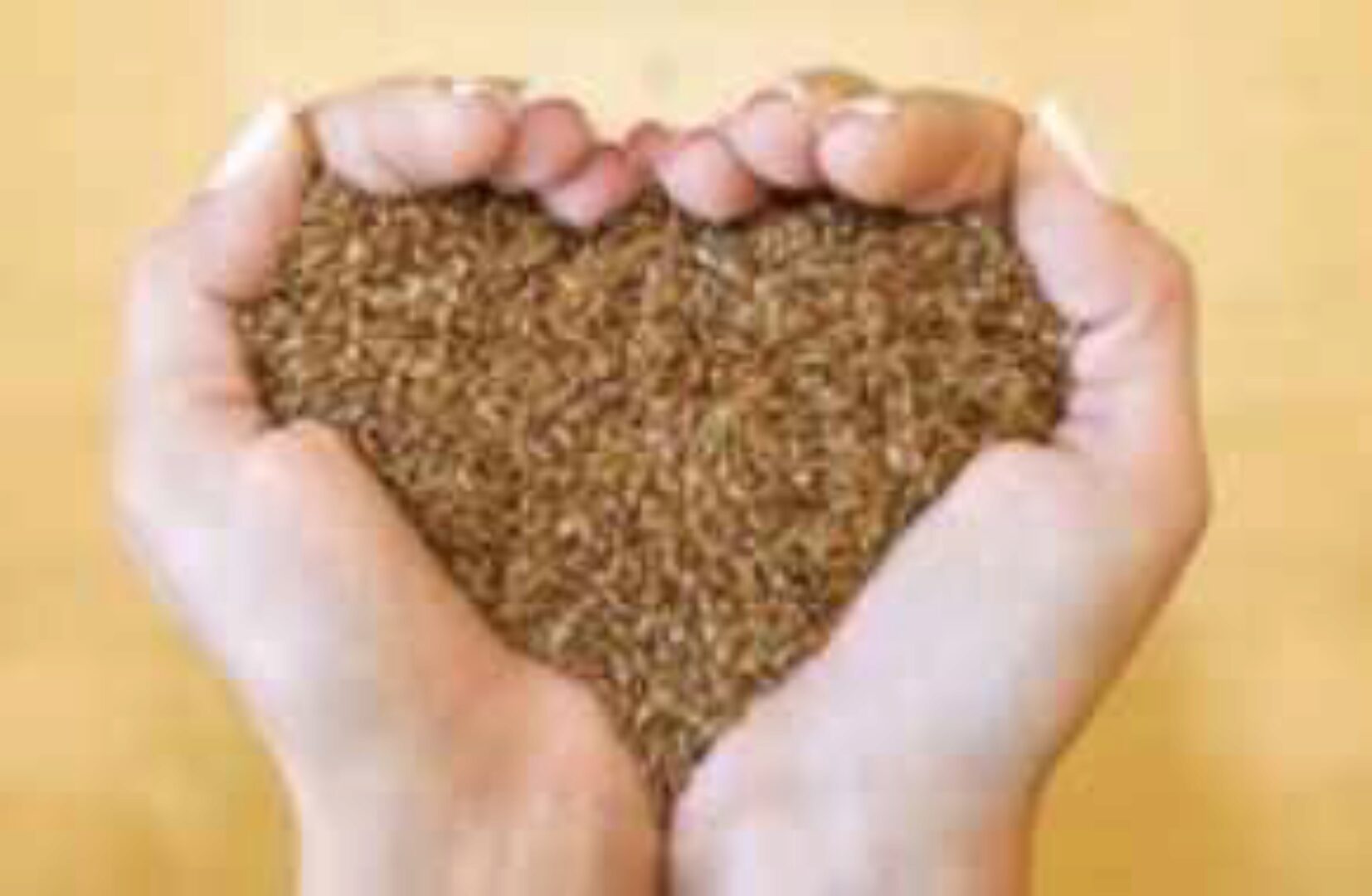 Семяно- и литотерапия. Методики применения в Су Джок терапии (Елена Макарова)