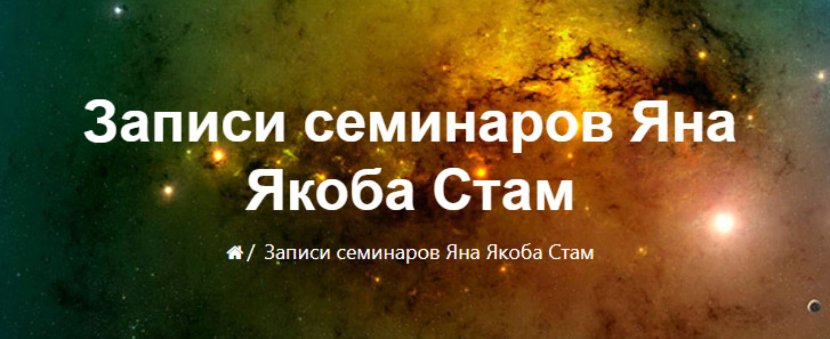 Травма в организациях (Ян Якоб Стам)