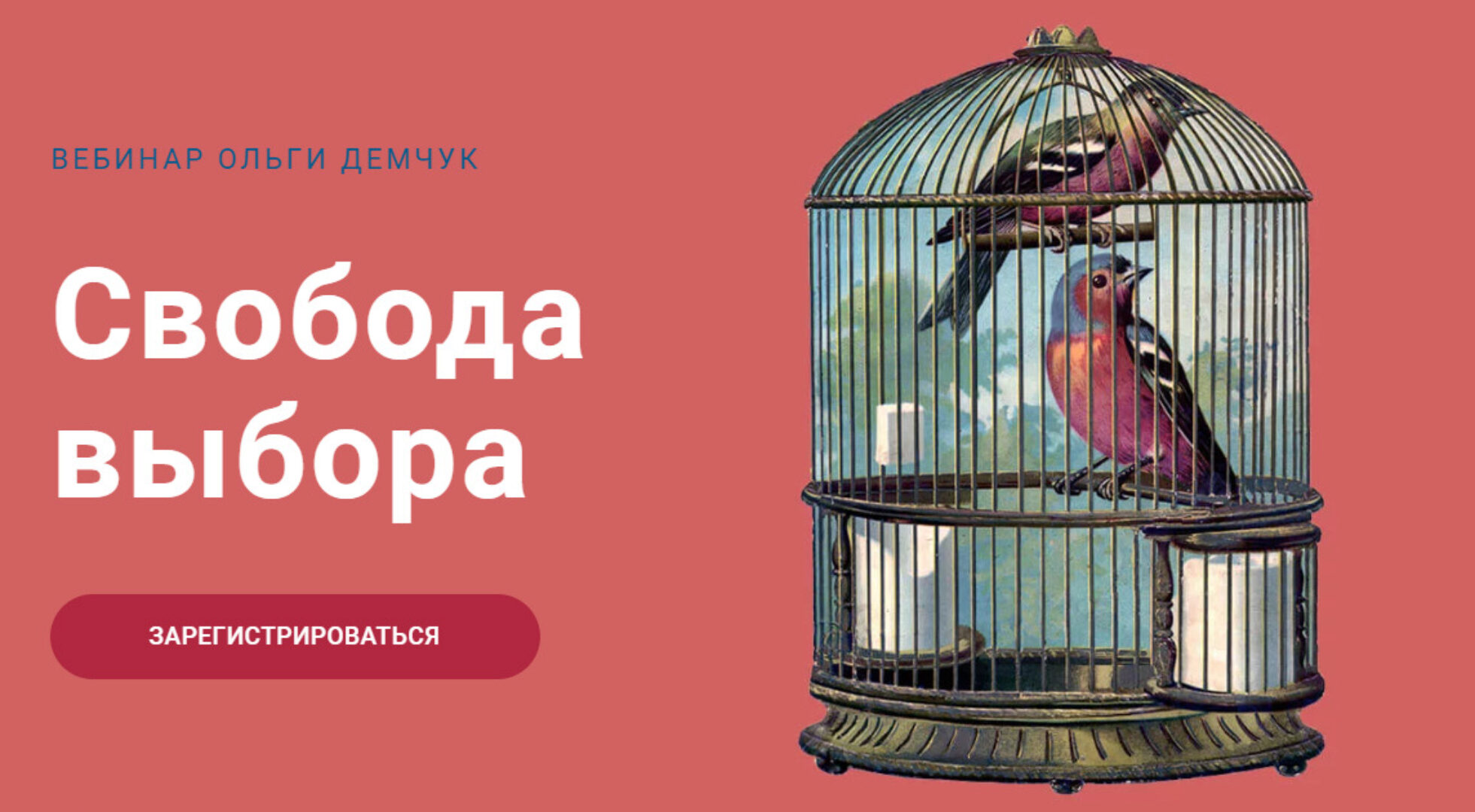 Свобода выбора (Ольга Демчук)