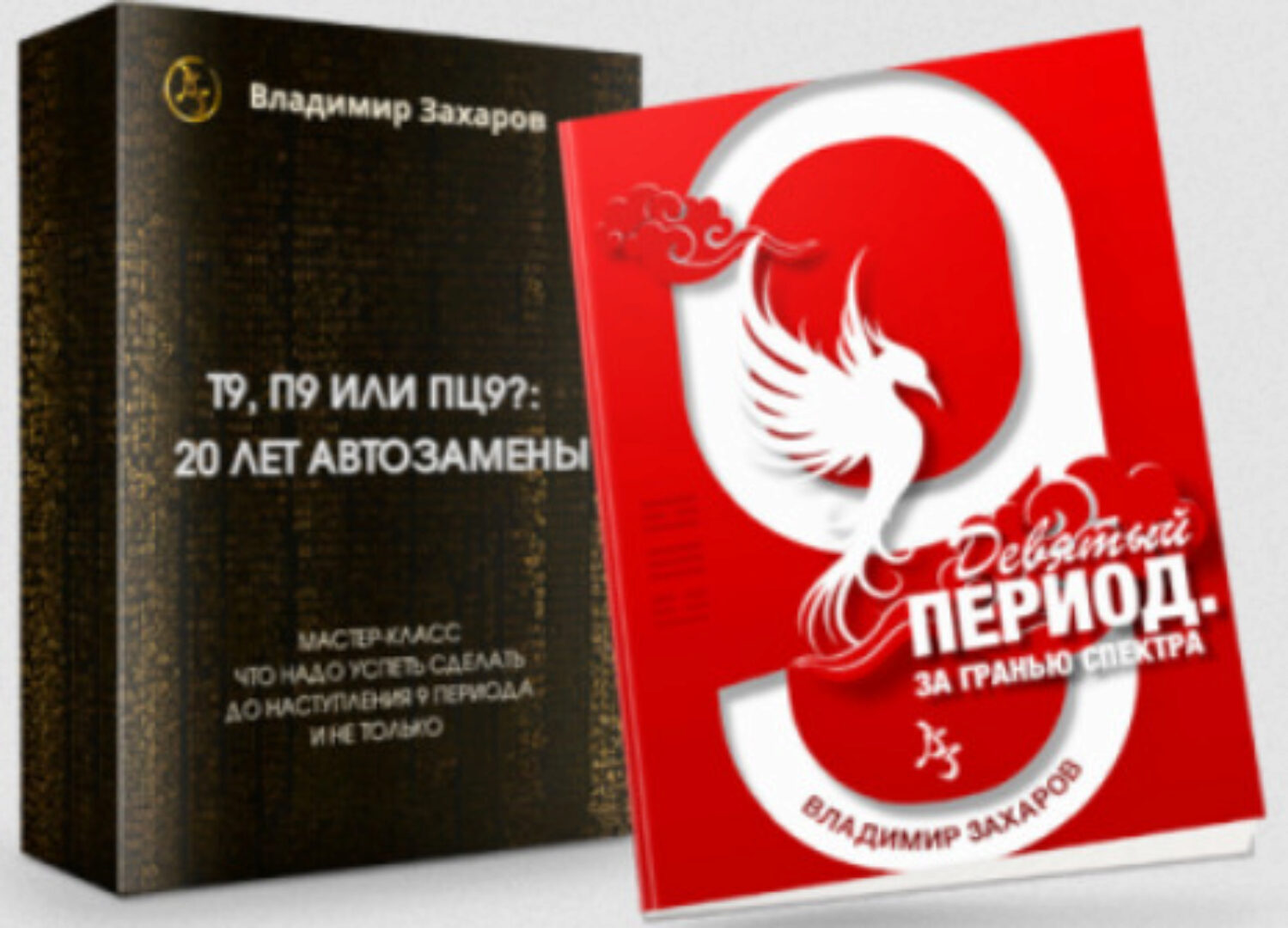 Девятый период. За гранью спектра + мастер класс (Владимир Захаров)
