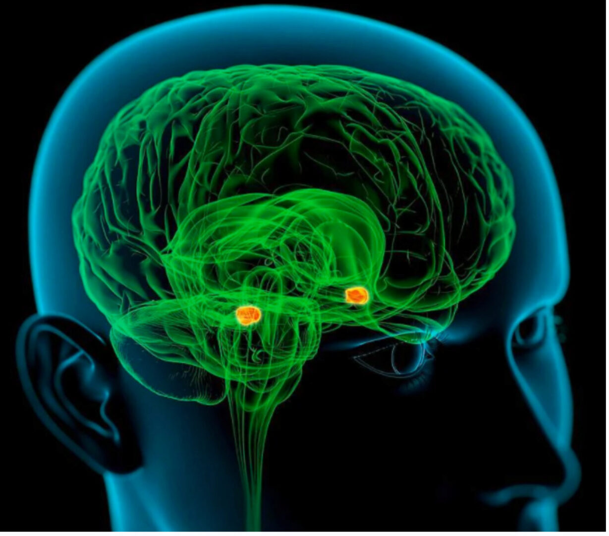 [Sigh Energy] Миндалевидное тело Powerful Plus +11x (Extra Strong). Amygdala Powerful Plus +11x (Extra Strong)
