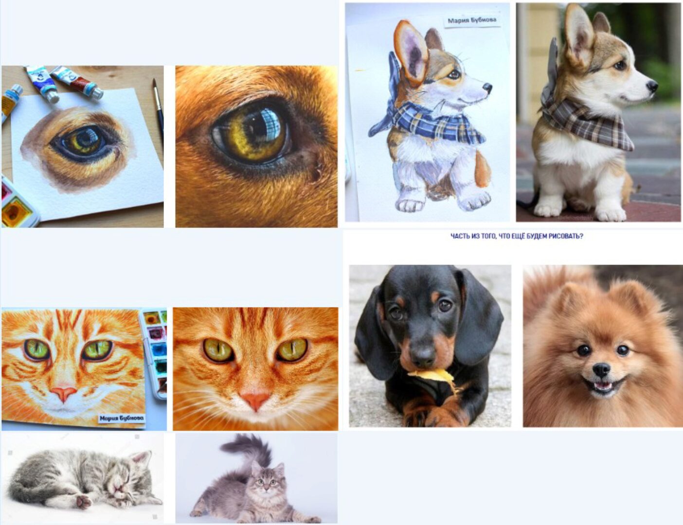 [Sketch Lab] Анималистика (Мария Бубнова)