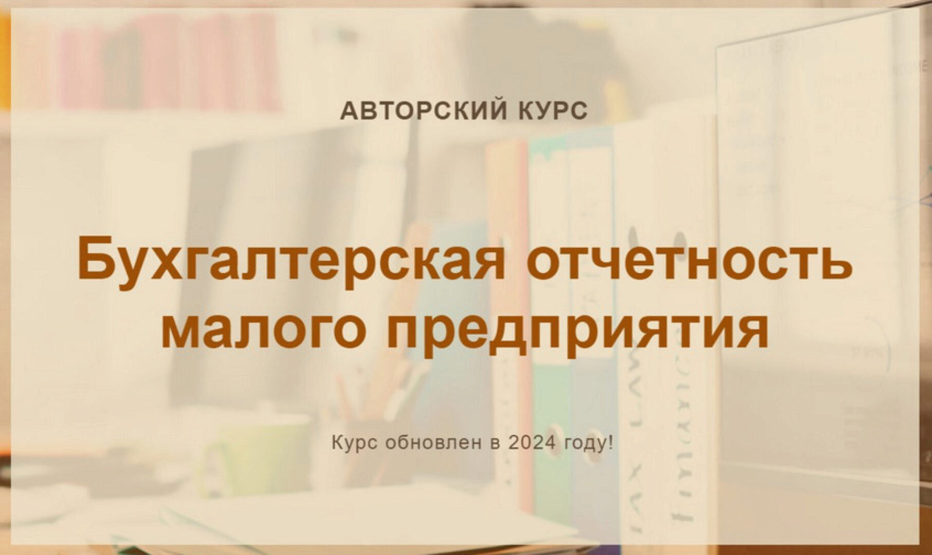 Бухгалтерская отчетность малого предприятия. 2024 (Ольга Шулова)