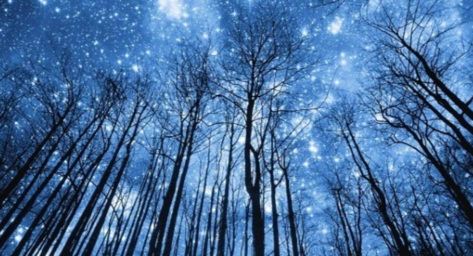 Астрология налегке. Октябрь-Ноябрь 2024 (Константин Дараган)