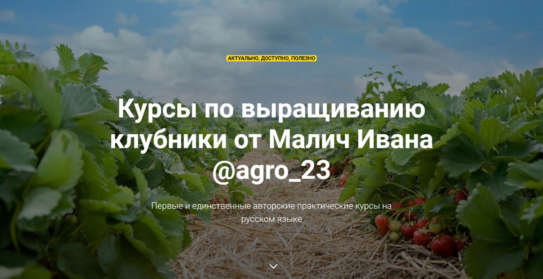 [@agro_23] Курсы по выращиванию клубники (Иван Малич)
