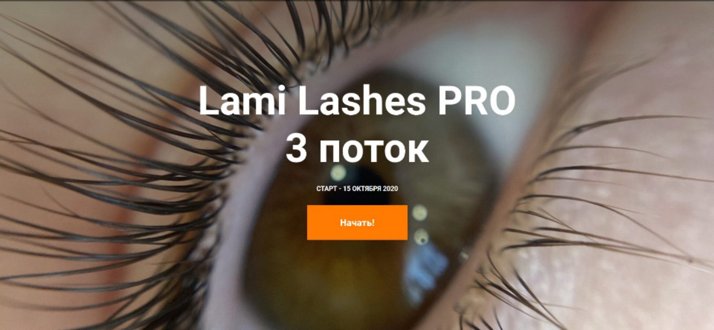 Lami Lashes Pro 3 поток. Тариф Стандартный+ (Анна Ромашенко)