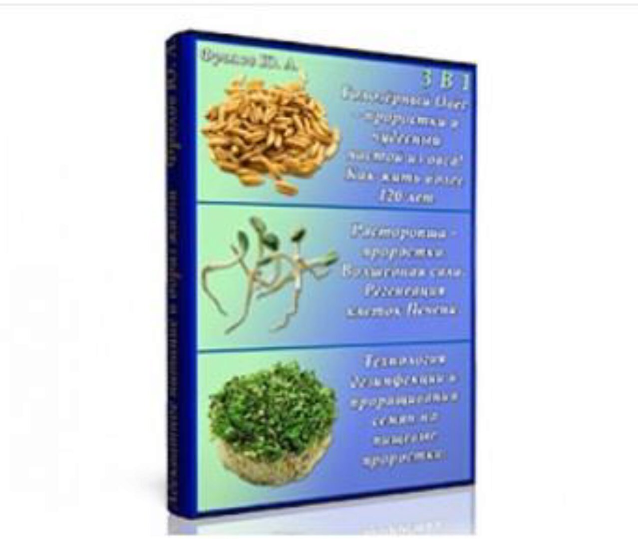 Мини инфопродукт №1 (Юрий Фролов)