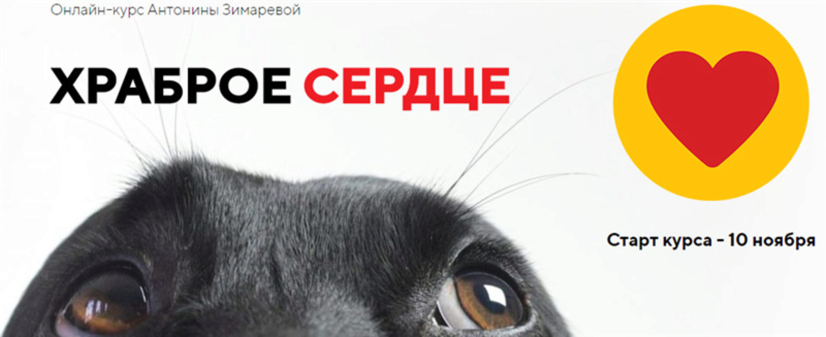 [kinologschool] Храброе сердце. Тариф - Один дома (Антонина Зимарева)