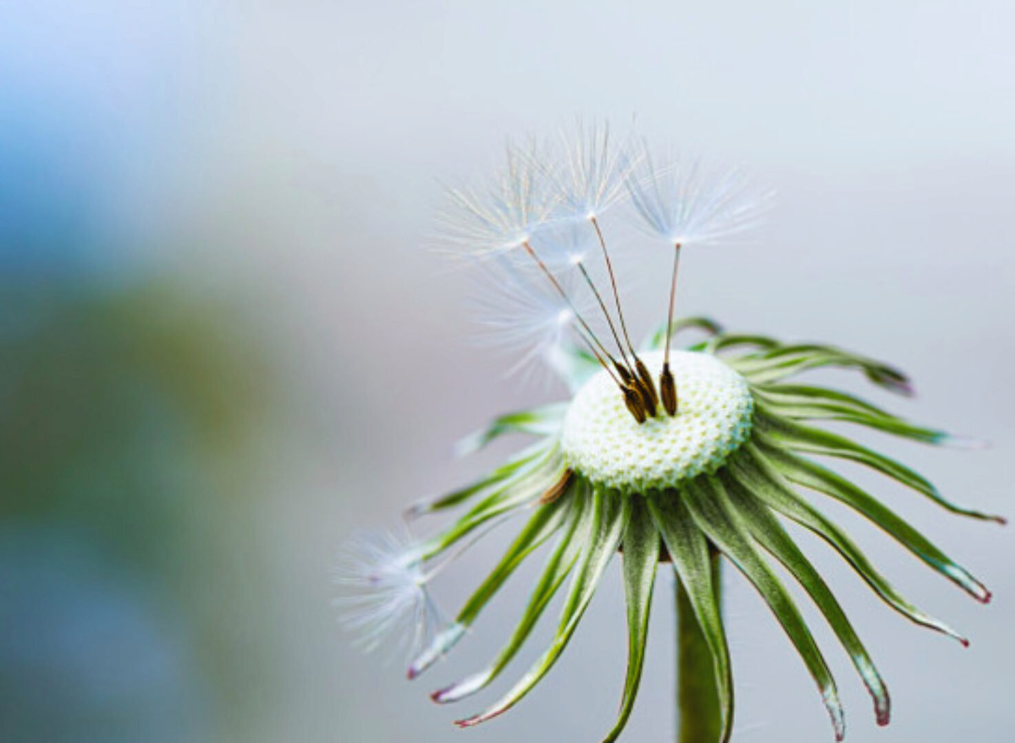 Нужда в деньгах (Инга Ким)