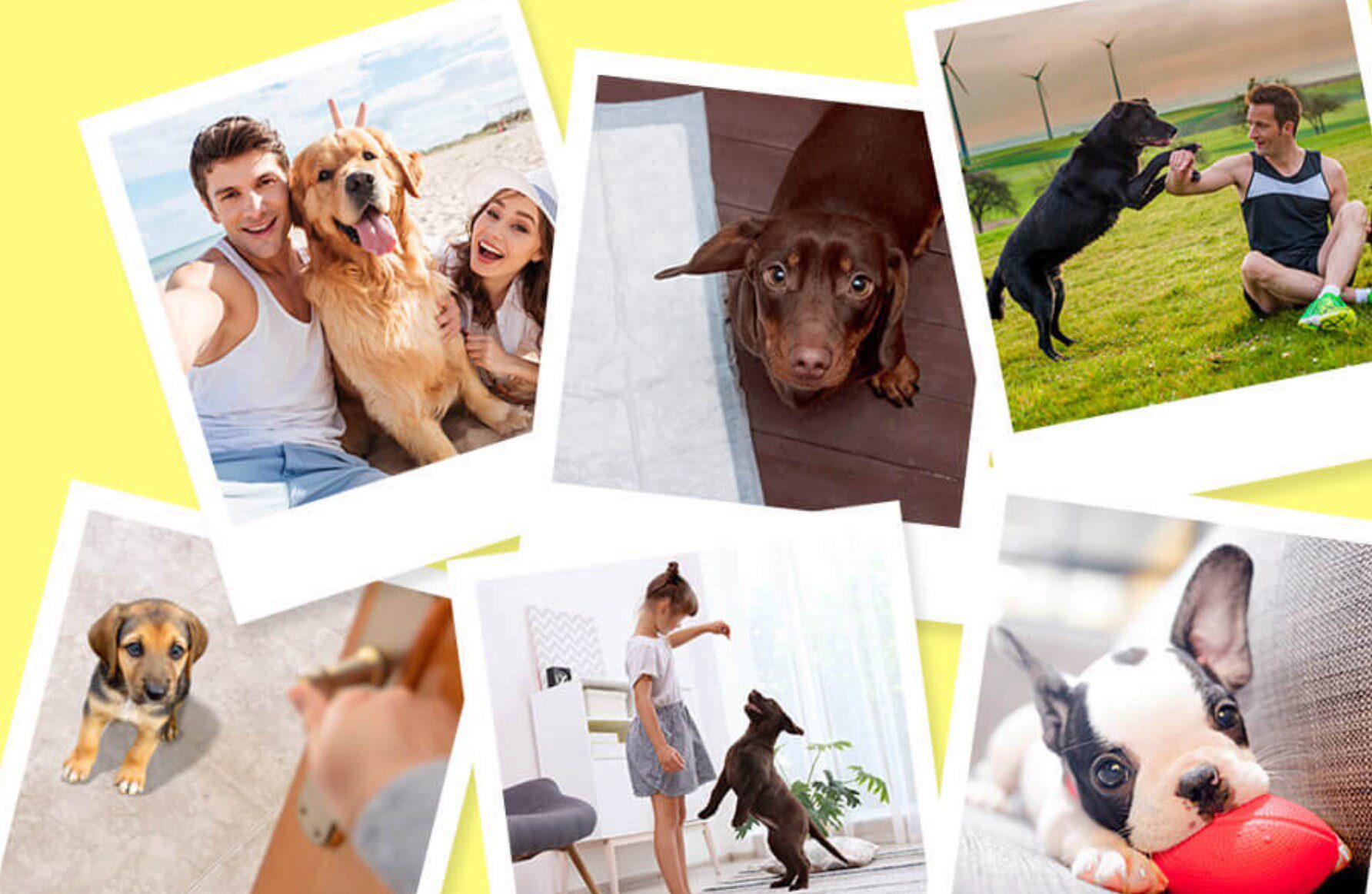 [Дрессировка] Послушный щенок без хлопот! Тариф Оптимальный (Татьяна Романова)