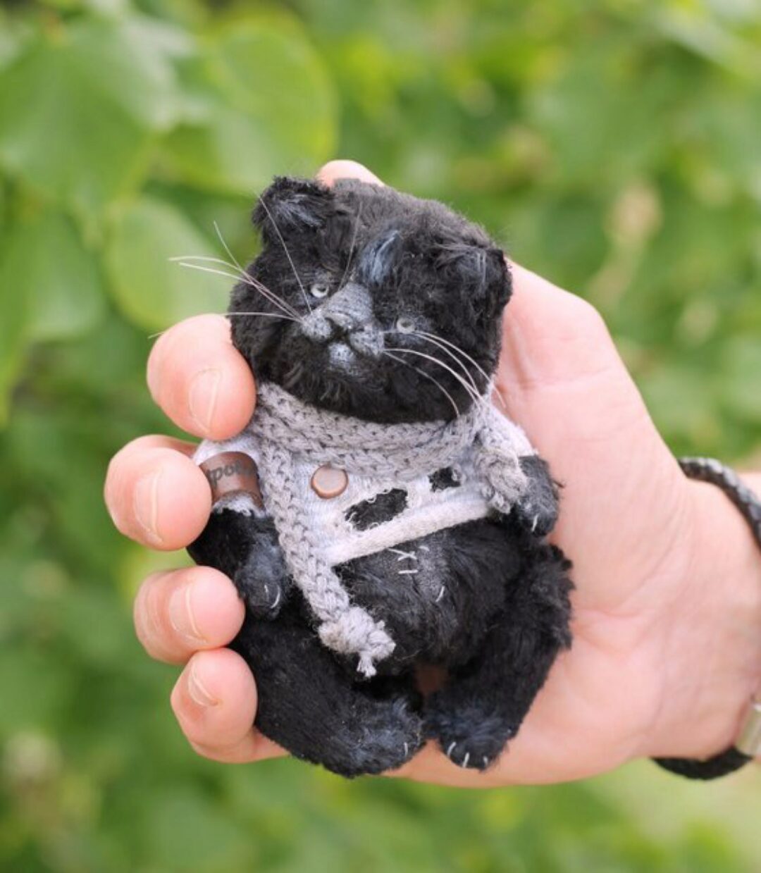 Котик Бегемотик (Анна Степанова)