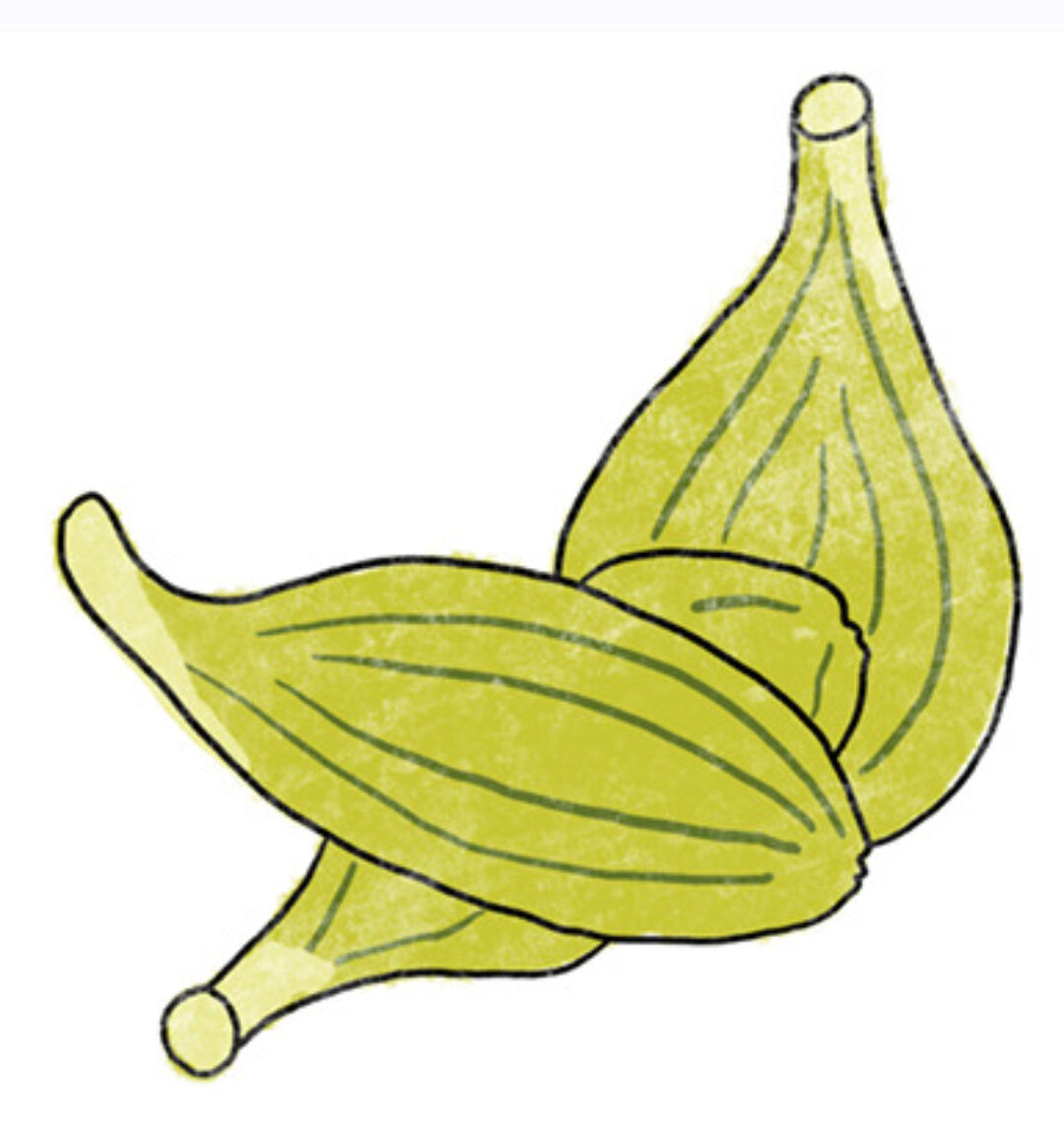 [Школа доктора Крутова] Как специи меняют вашу жизнь 2.0 (Кирилл Копыльцов)