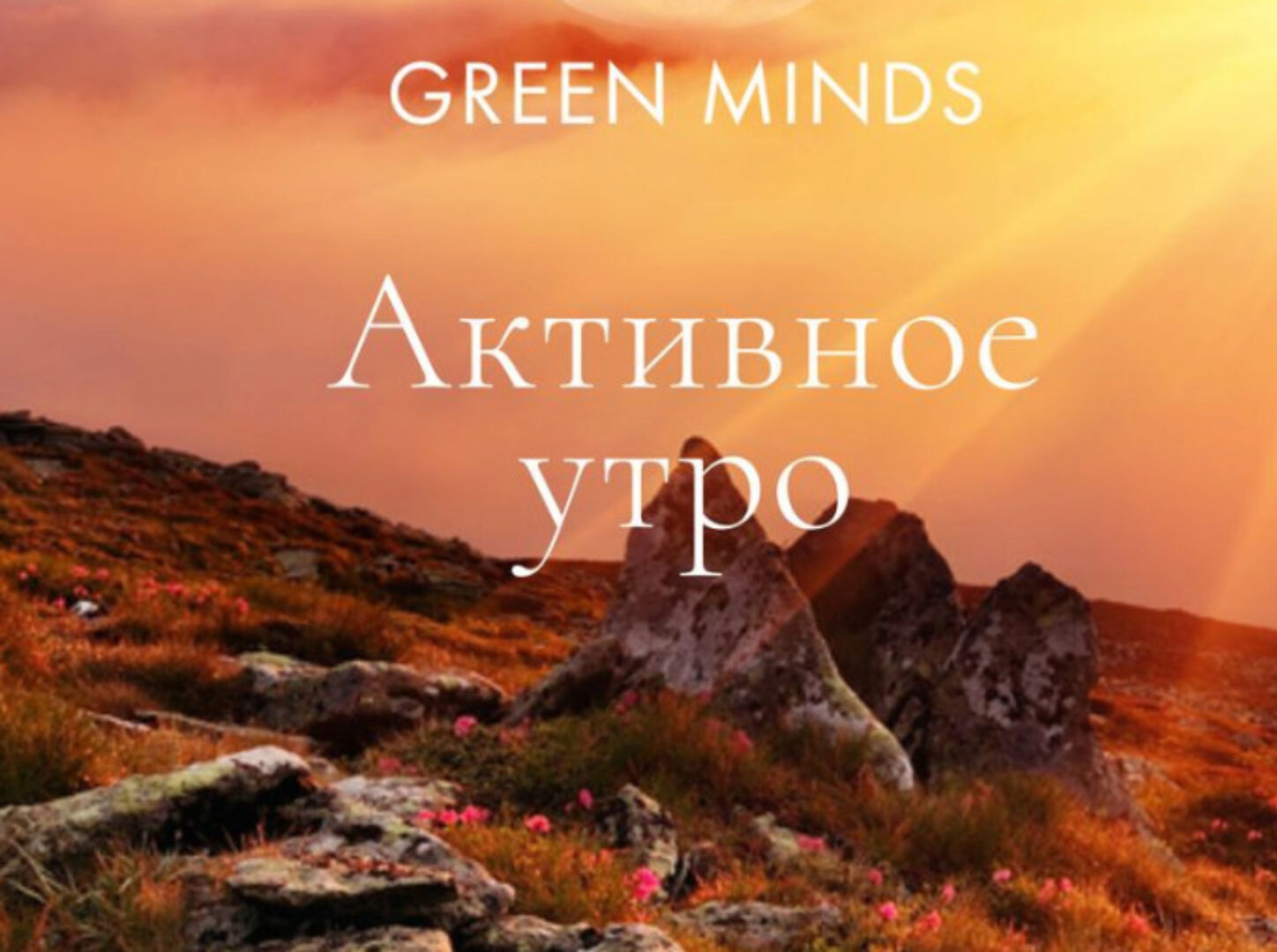 Нейромедитация GREEN MINDS Активное утро (Алексей Ситников)