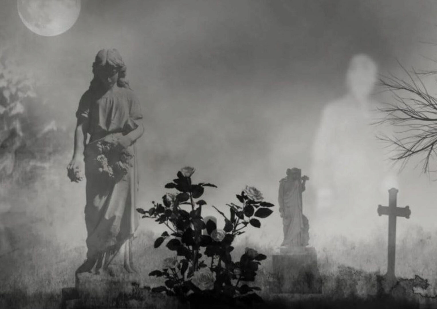 13 ключей к силе. Ключ 10 Мир мертвых (Владислав Череватый)