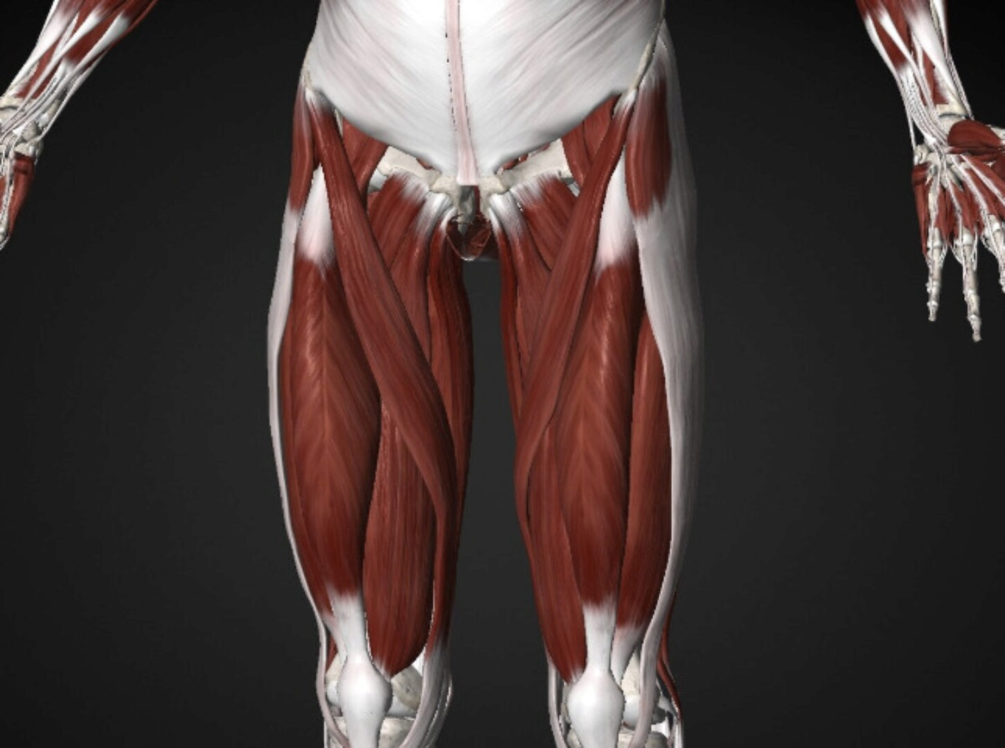 Массаж триггерных точек в бедре (Артём Пак)