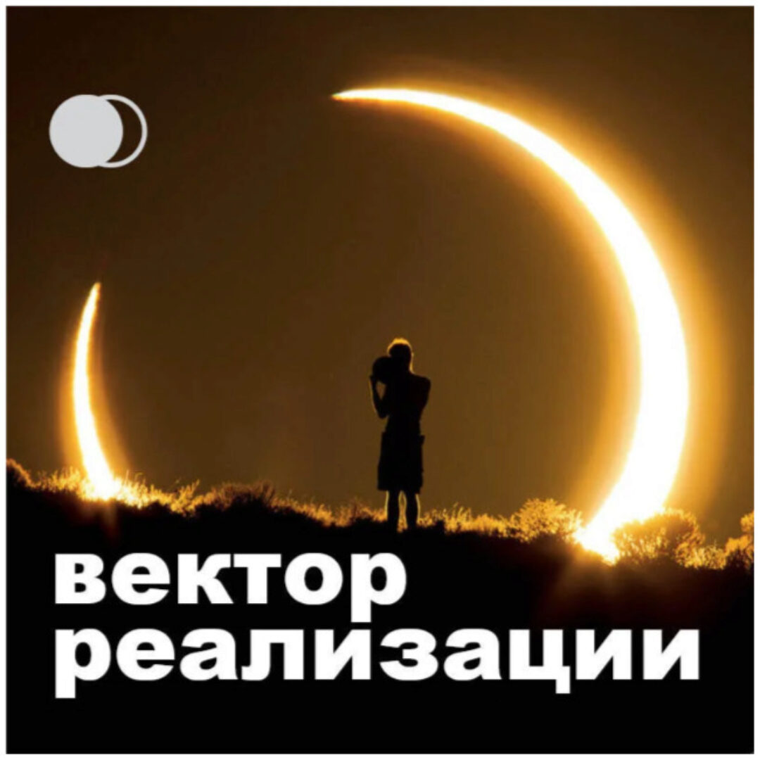 Вектор реализации, 2014 (Анна Гак)