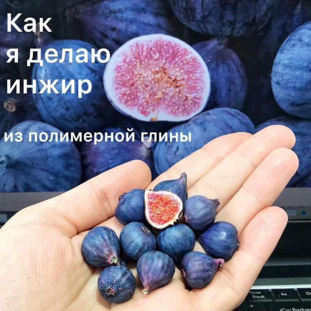 МК «Инжир целый и инжир в разрезе из полимерной глины» (magic_magic_garden)