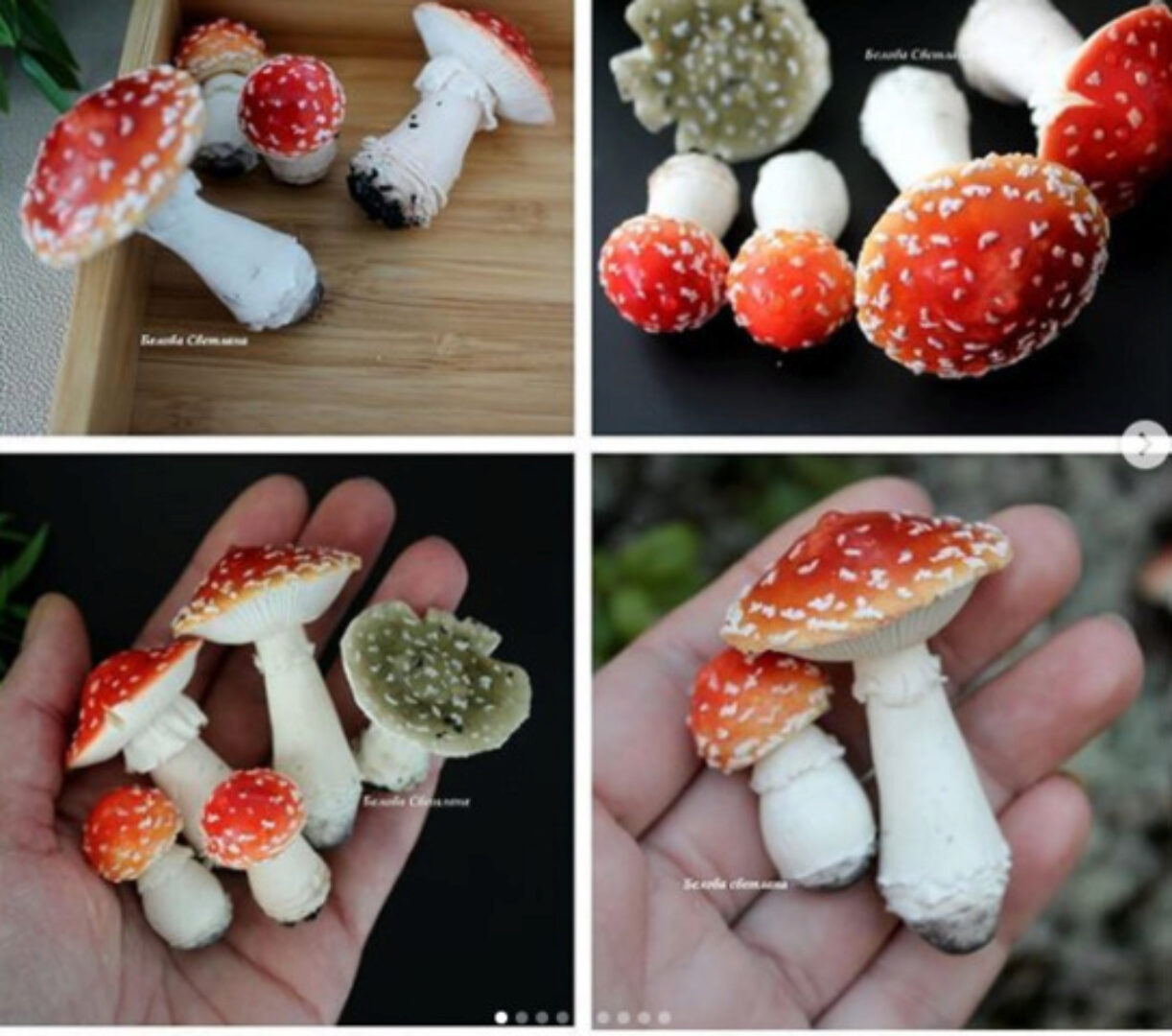 [Лепка] Мастер-класс по лепке грибов из полимерной глины (vseisgliny)