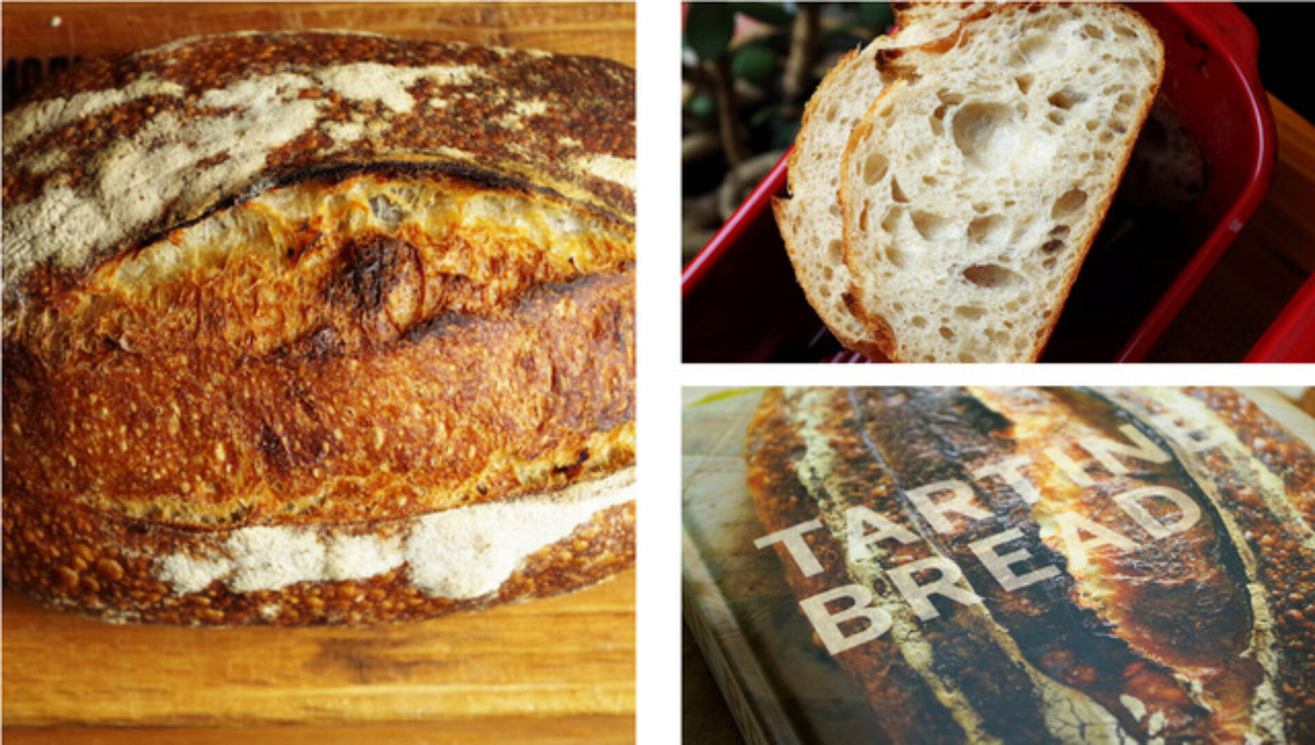 [Хлебомолы] Тартин