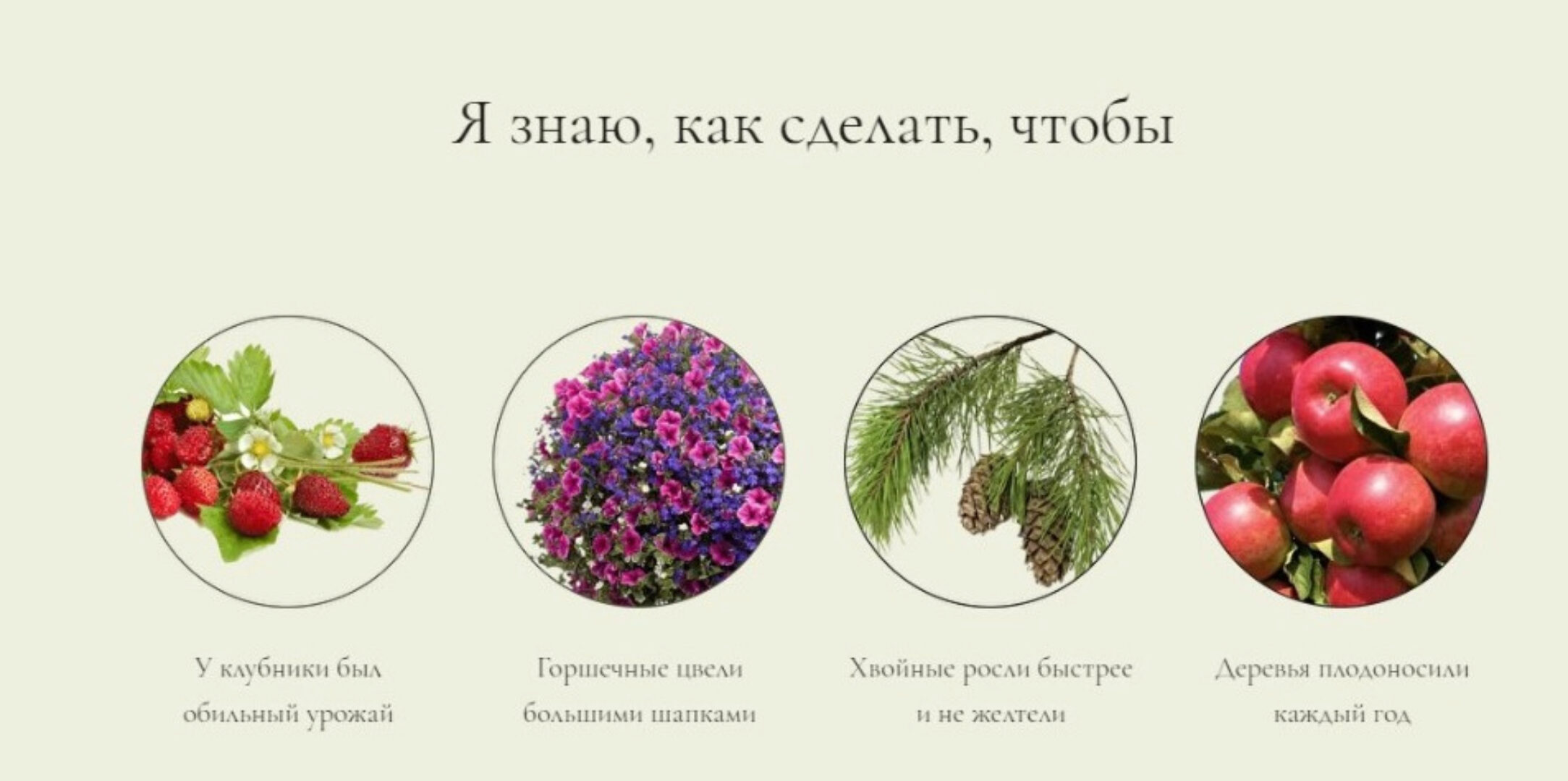 Заботы садовода: Весна. Тариф Дачник (Анна Акинина)